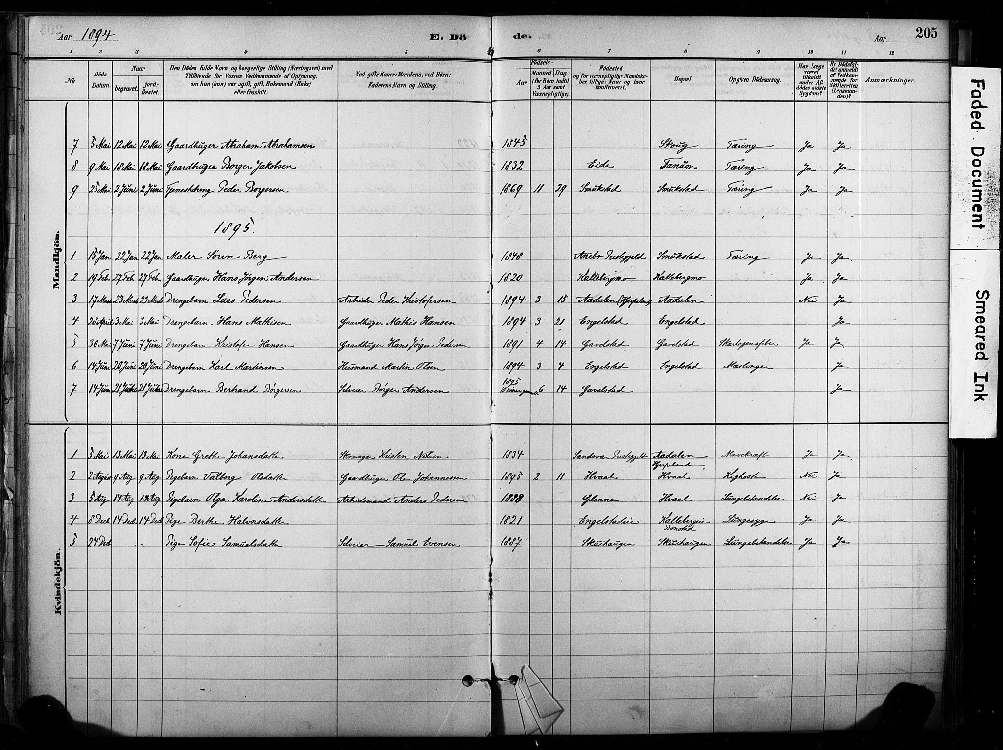 Lardal kirkebøker, SAKO/A-350/F/Fb/L0001: Parish register (official) no. II 1, 1881-1911, p. 205