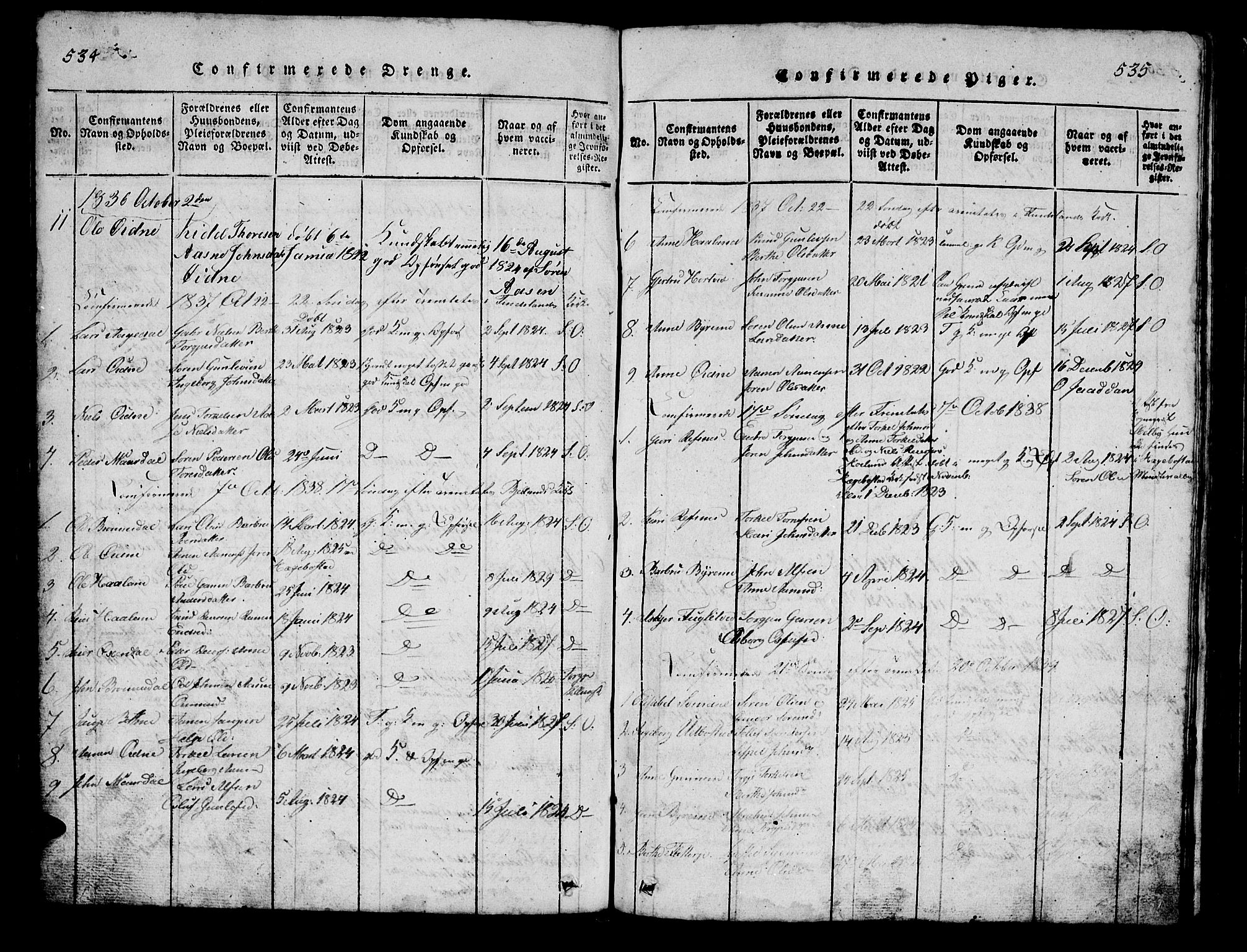 Bjelland sokneprestkontor, SAK/1111-0005/F/Fb/Fbc/L0001: Parish register (copy) no. B 1, 1815-1870, p. 534-535
