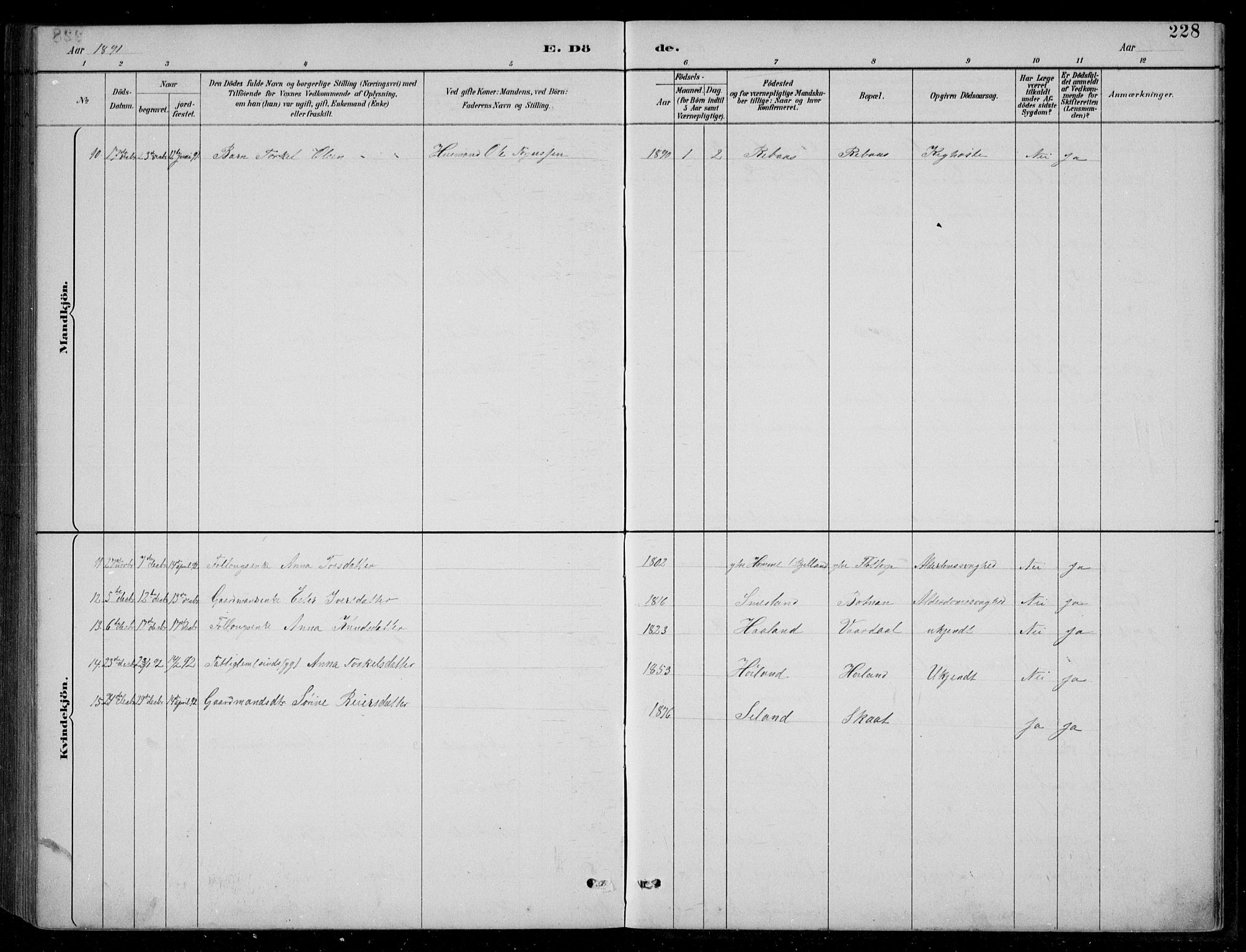 Bjelland sokneprestkontor, SAK/1111-0005/F/Fb/Fbc/L0003: Parish register (copy) no. B 3, 1887-1924, p. 228