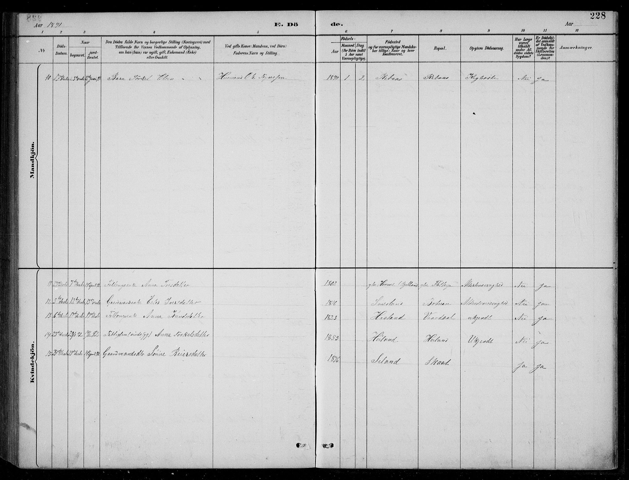 Bjelland sokneprestkontor, AV/SAK-1111-0005/F/Fb/Fbc/L0003: Parish register (copy) no. B 3, 1887-1924, p. 228