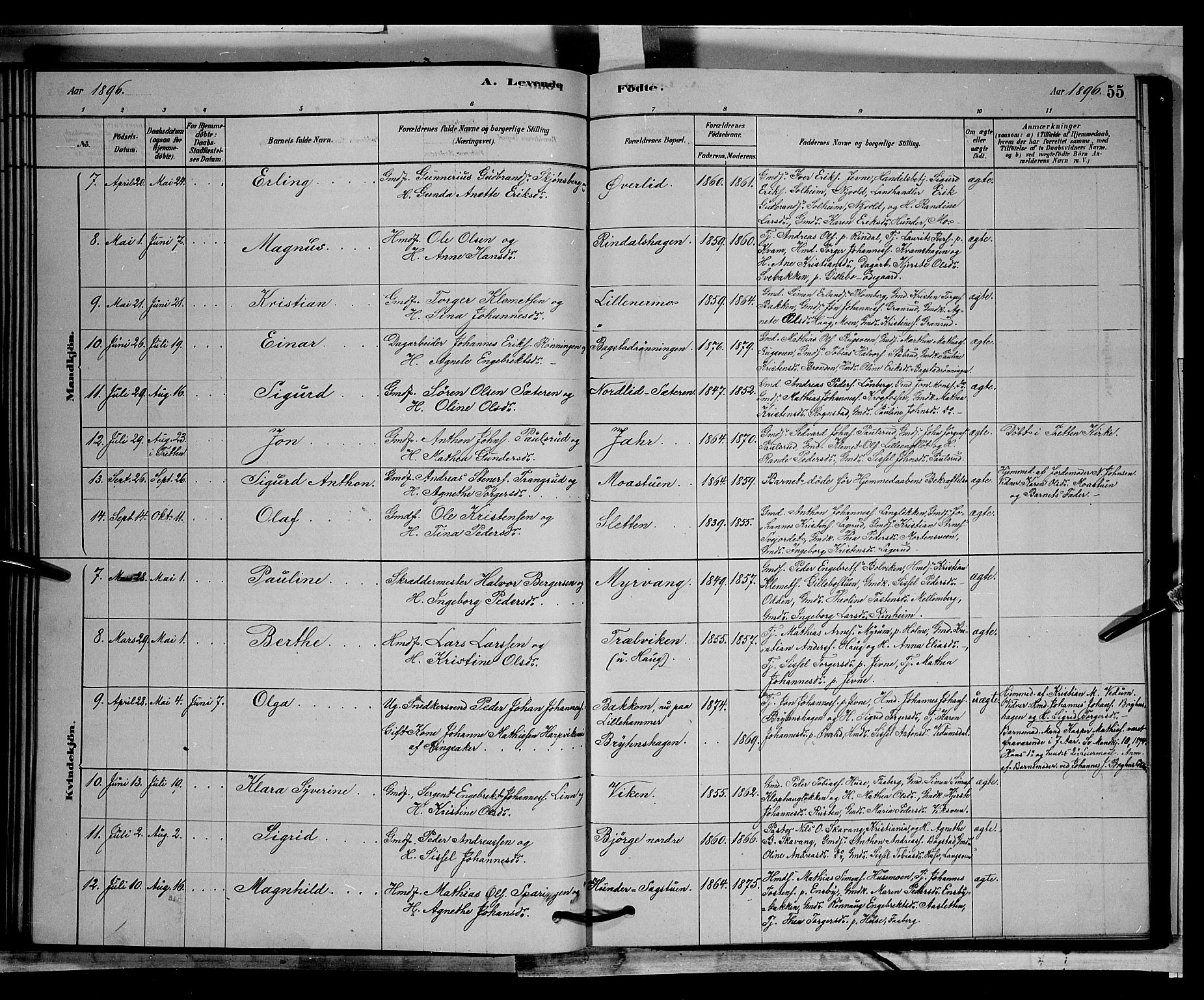 Øyer prestekontor, AV/SAH-PREST-084/H/Ha/Hab/L0002: Parish register (copy) no. 2, 1878-1896, p. 55