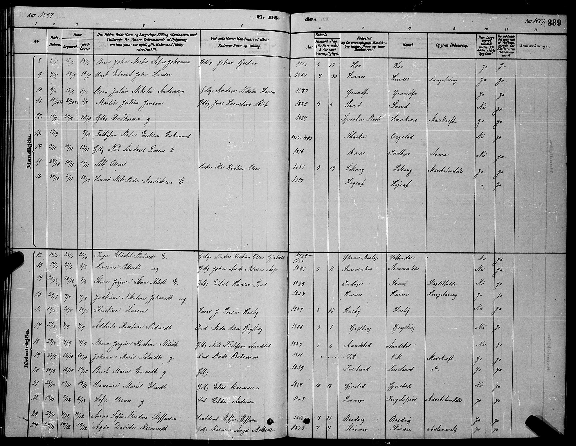 Ministerialprotokoller, klokkerbøker og fødselsregistre - Nordland, AV/SAT-A-1459/888/L1267: Parish register (copy) no. 888C05, 1878-1890, p. 339