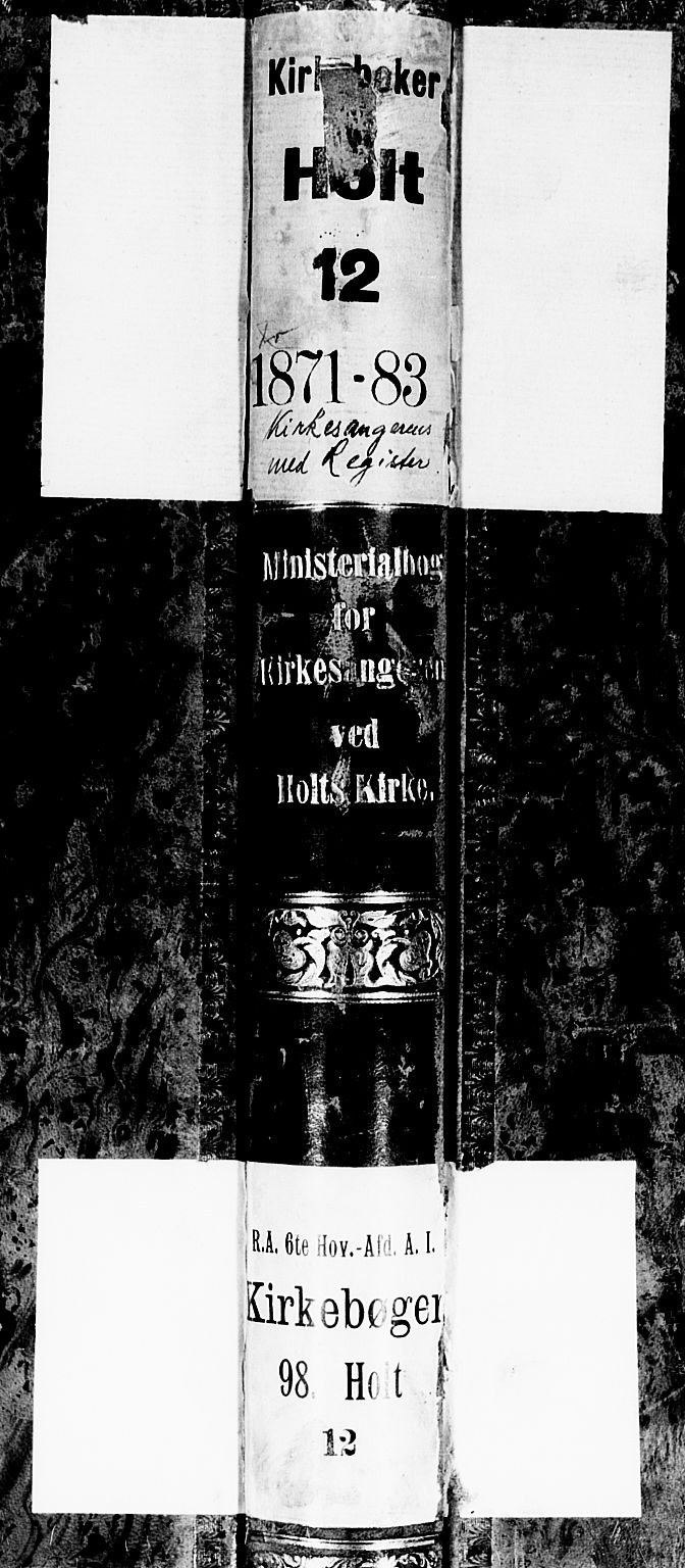 Holt sokneprestkontor, SAK/1111-0021/F/Fb/L0009: Parish register (copy) no. B 9, 1871-1883