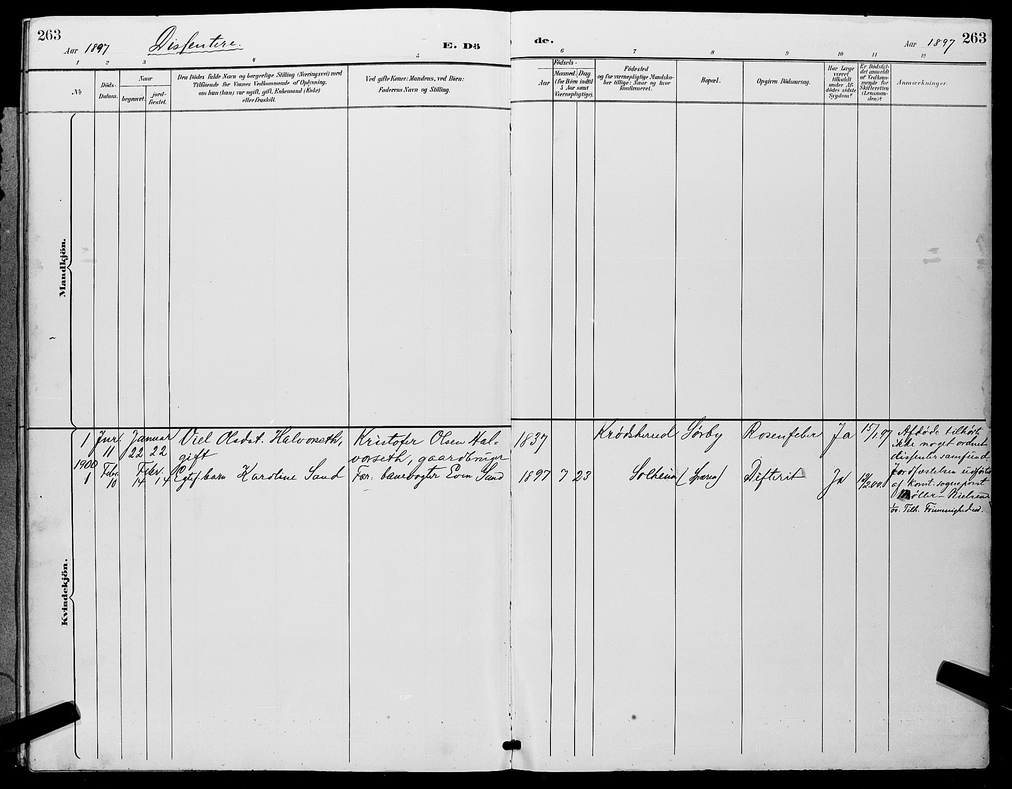 Eiker kirkebøker, AV/SAKO-A-4/G/Ga/L0007: Parish register (copy) no. I 7, 1893-1902, p. 263