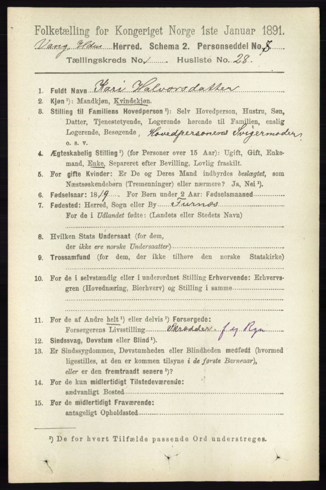 RA, 1891 census for 0414 Vang, 1891, p. 349