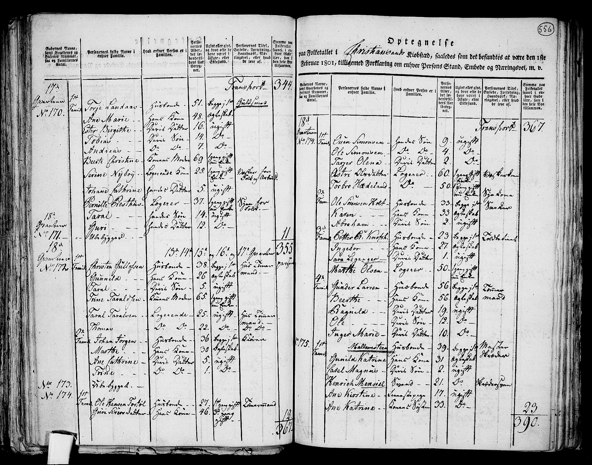 RA, 1801 census for 1001P Kristiansand, 1801, p. 555b-556a