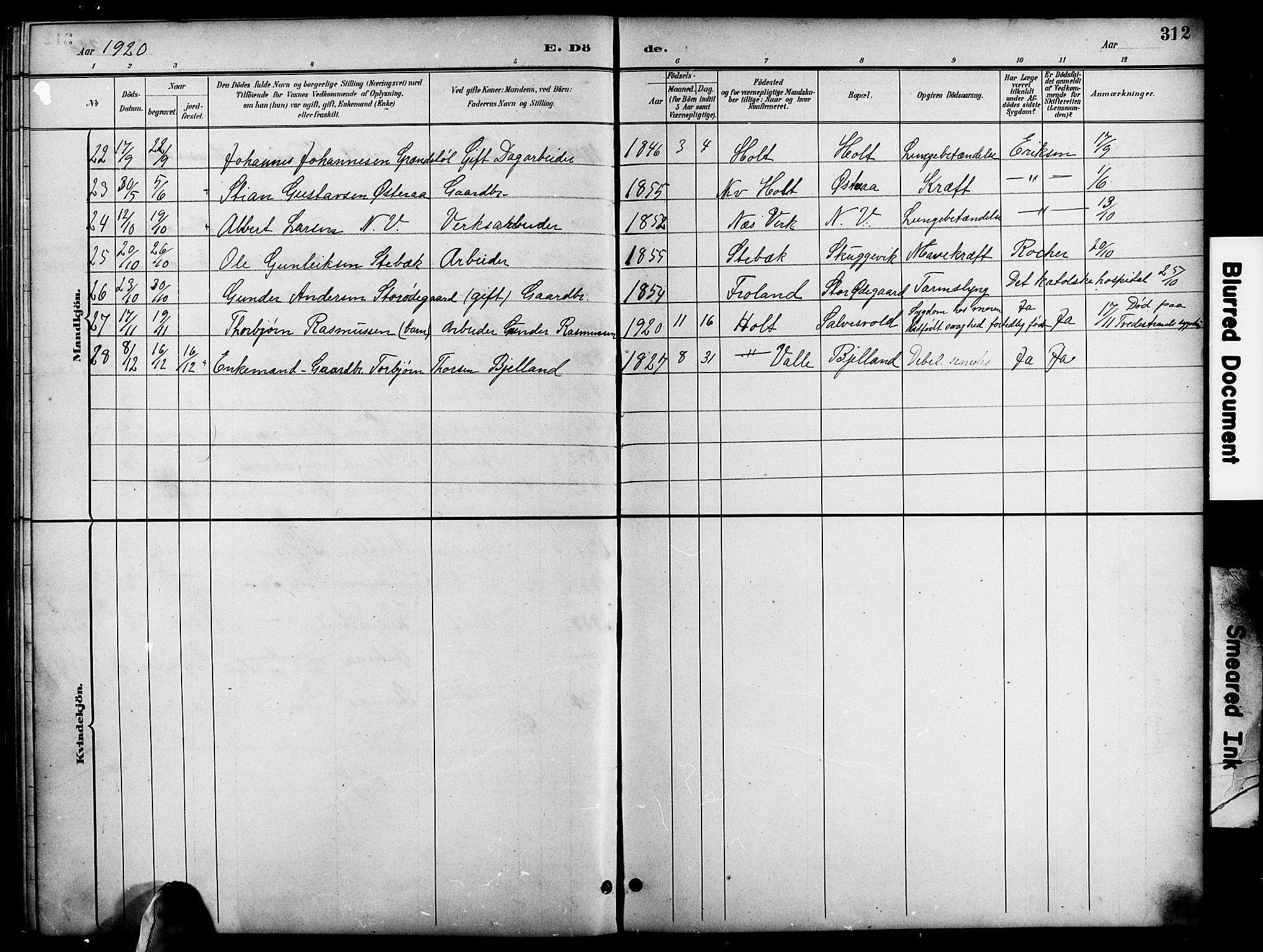 Holt sokneprestkontor, AV/SAK-1111-0021/F/Fb/L0011: Parish register (copy) no. B 11, 1897-1921, p. 312