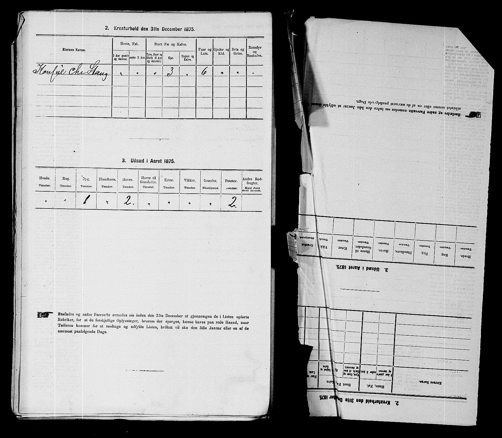 RA, 1875 census for 0117P Idd, 1875, p. 402