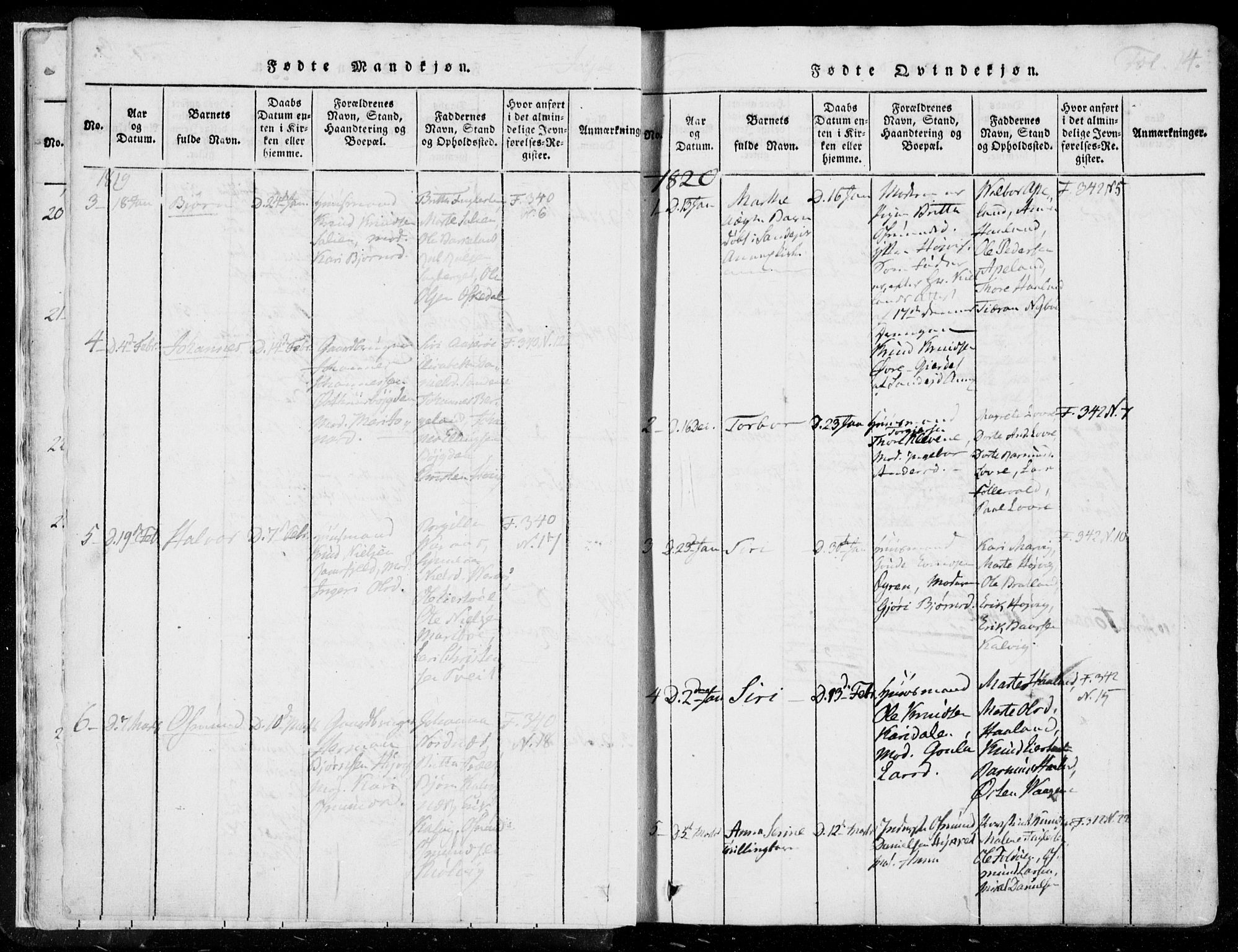 Jelsa sokneprestkontor, SAST/A-101842/01/IV: Parish register (official) no. A 5, 1816-1828, p. 14
