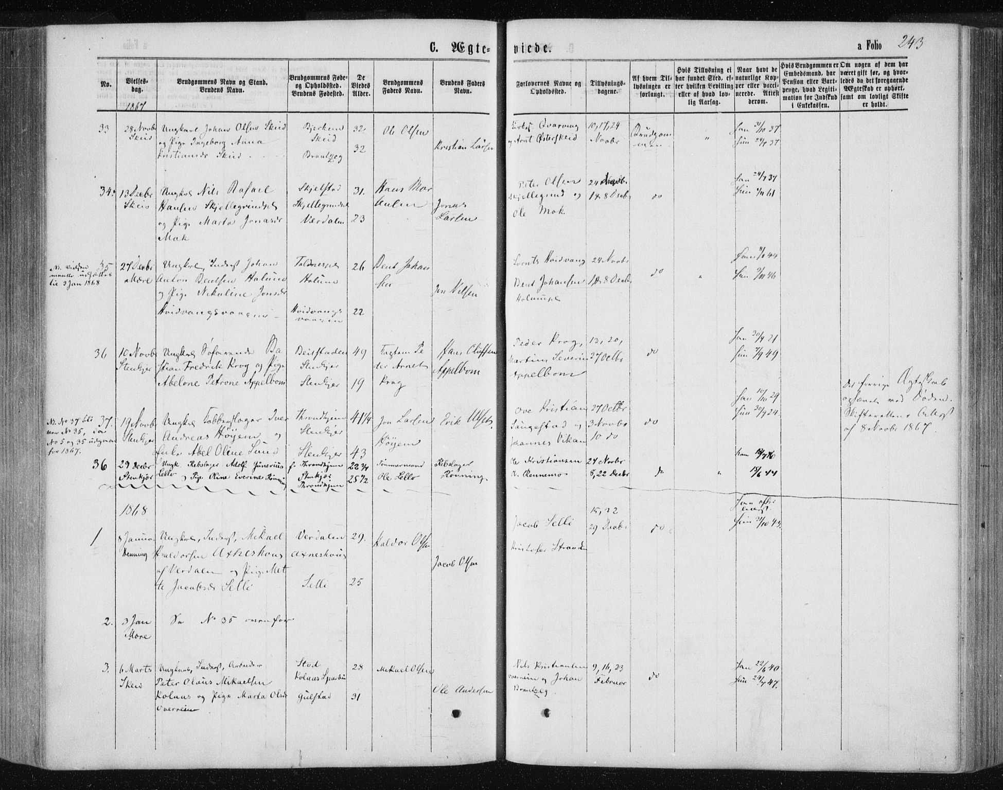 Ministerialprotokoller, klokkerbøker og fødselsregistre - Nord-Trøndelag, SAT/A-1458/735/L0345: Parish register (official) no. 735A08 /1, 1863-1872, p. 243