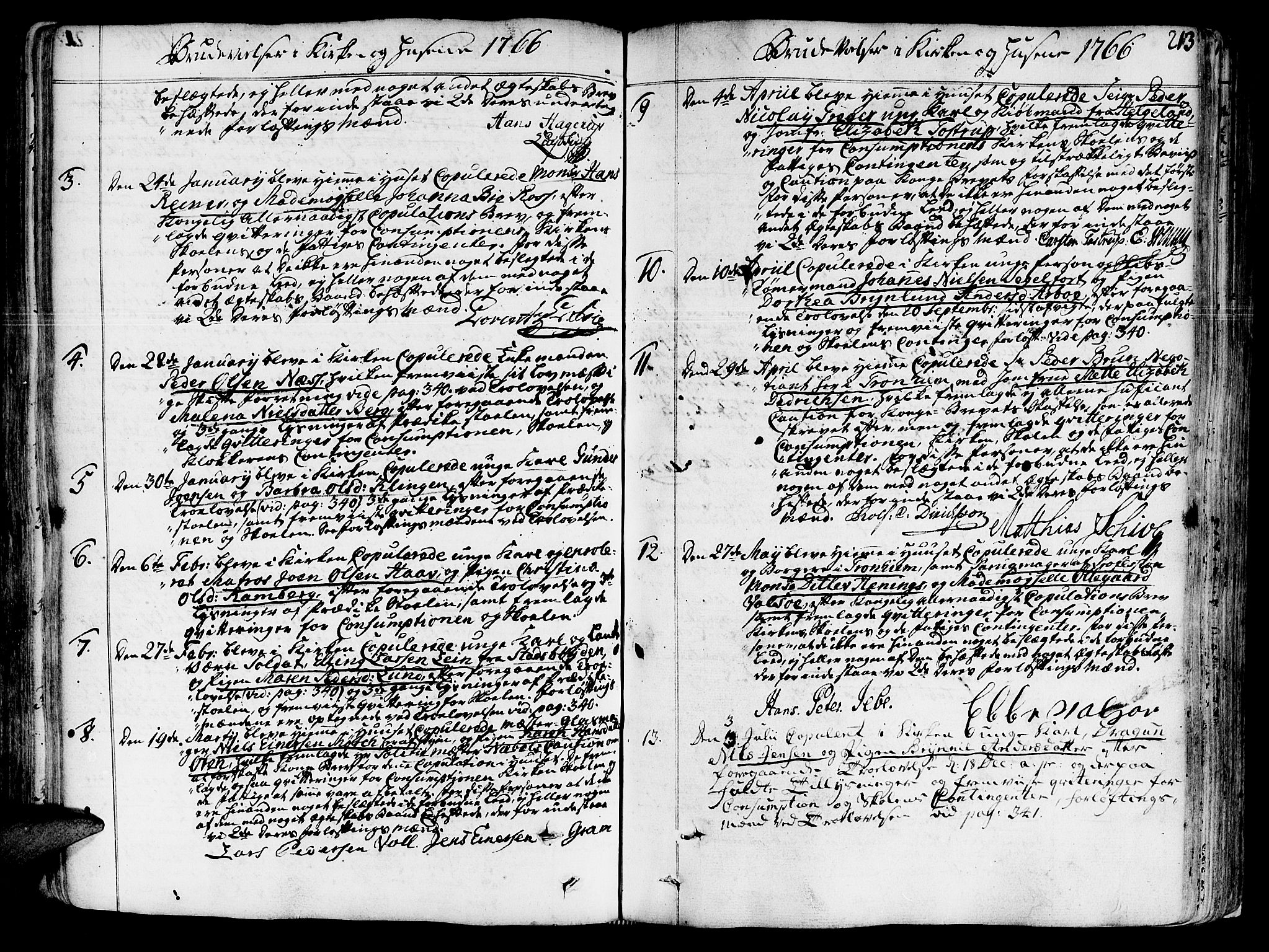 Ministerialprotokoller, klokkerbøker og fødselsregistre - Sør-Trøndelag, SAT/A-1456/602/L0103: Parish register (official) no. 602A01, 1732-1774, p. 213