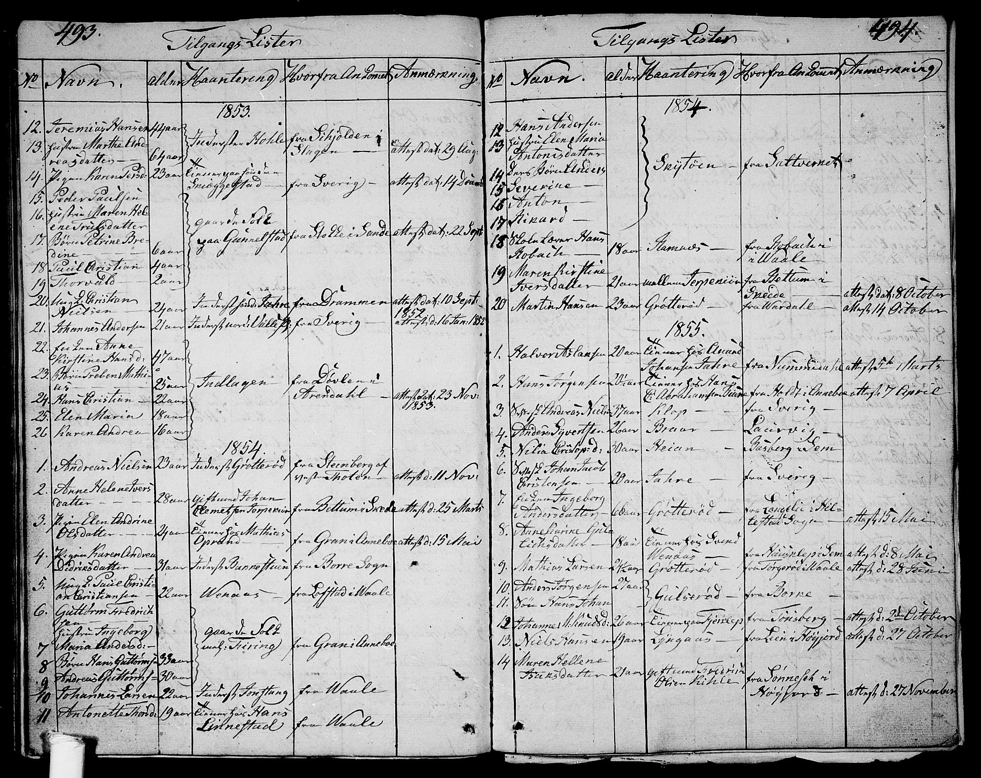 Ramnes kirkebøker, SAKO/A-314/G/Ga/L0002: Parish register (copy) no. I 2, 1848-1870, p. 493-494