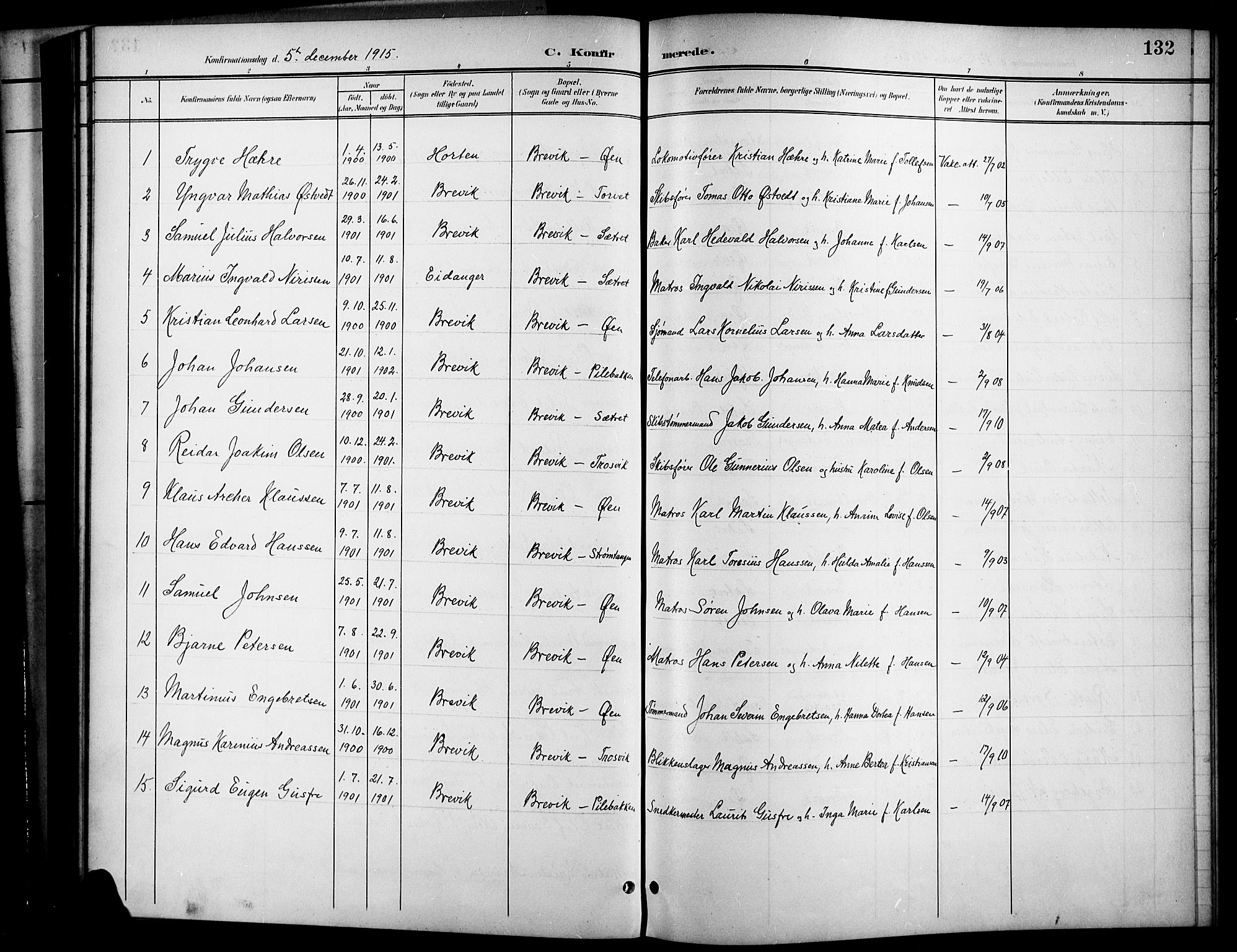 Brevik kirkebøker, SAKO/A-255/G/Ga/L0005: Parish register (copy) no. 5, 1901-1924, p. 132
