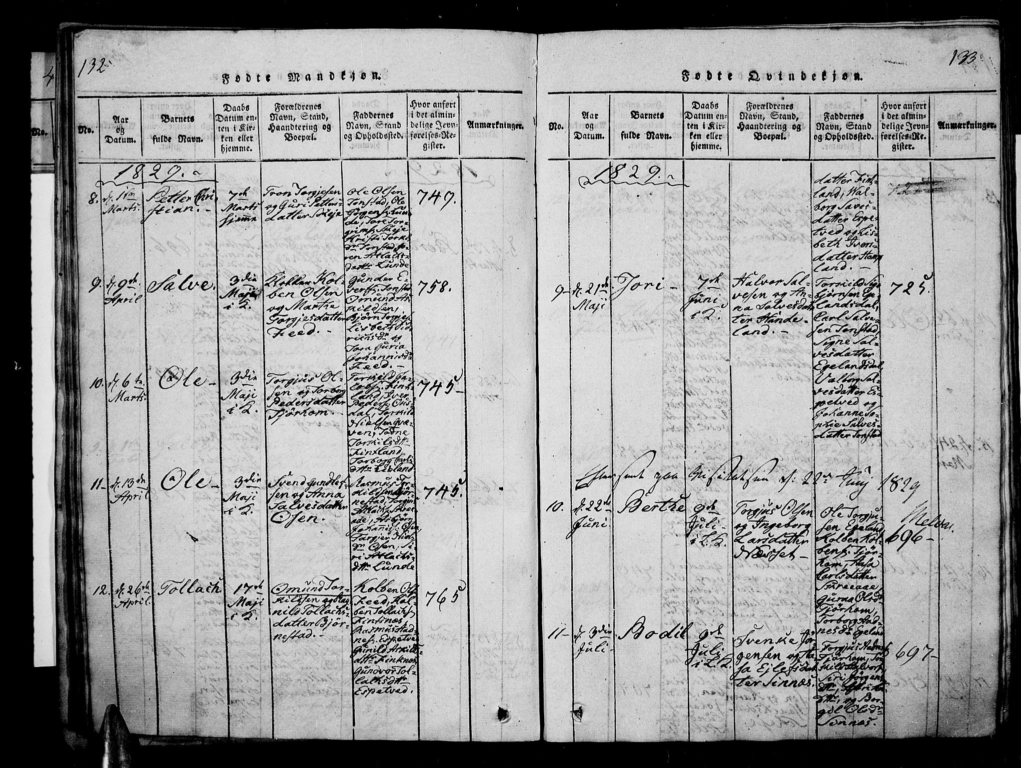 Sirdal sokneprestkontor, AV/SAK-1111-0036/F/Fa/Fab/L0001: Parish register (official) no. A 1, 1815-1834, p. 132-133