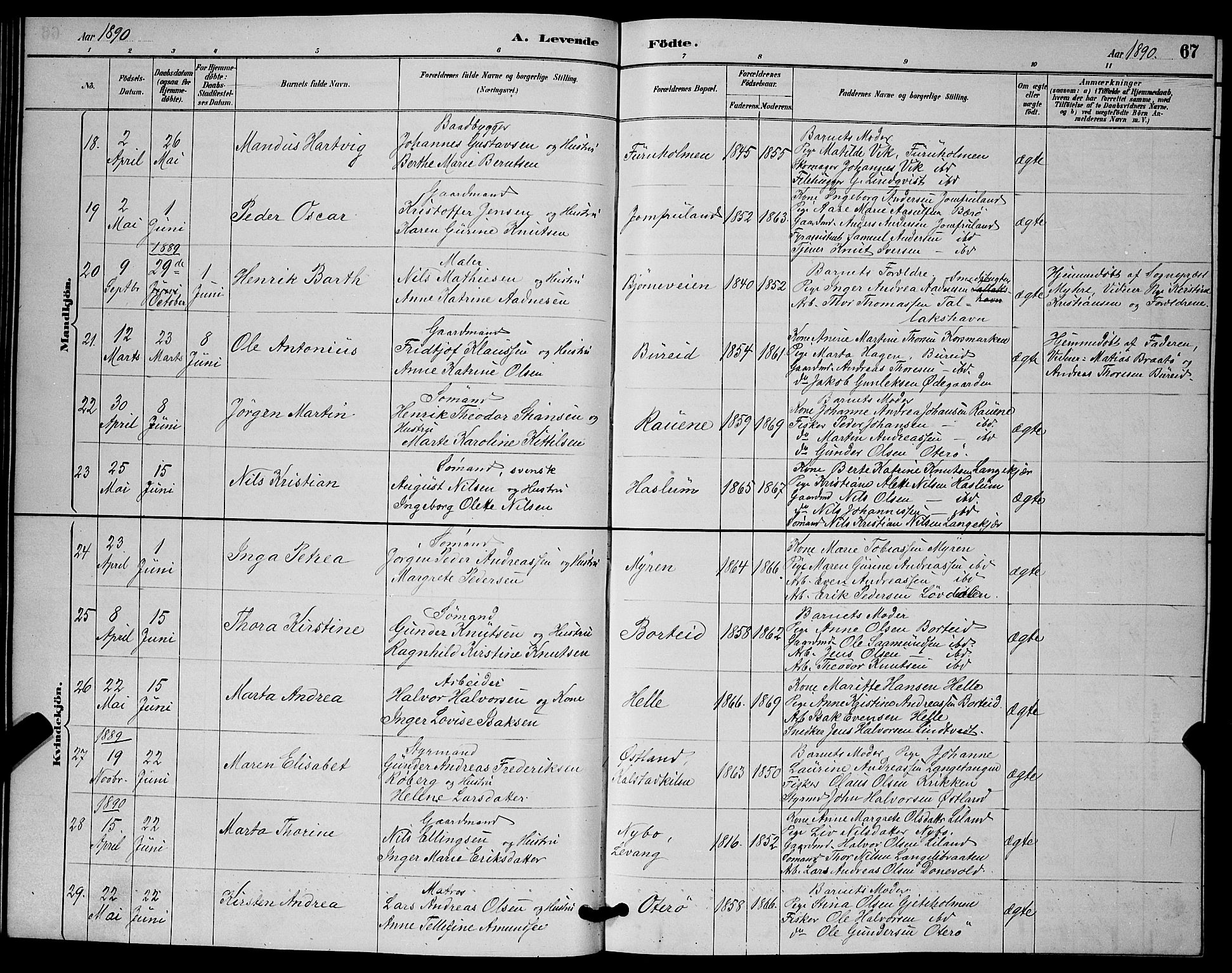 Skåtøy kirkebøker, AV/SAKO-A-304/G/Ga/L0003: Parish register (copy) no. I 3, 1884-1898, p. 67
