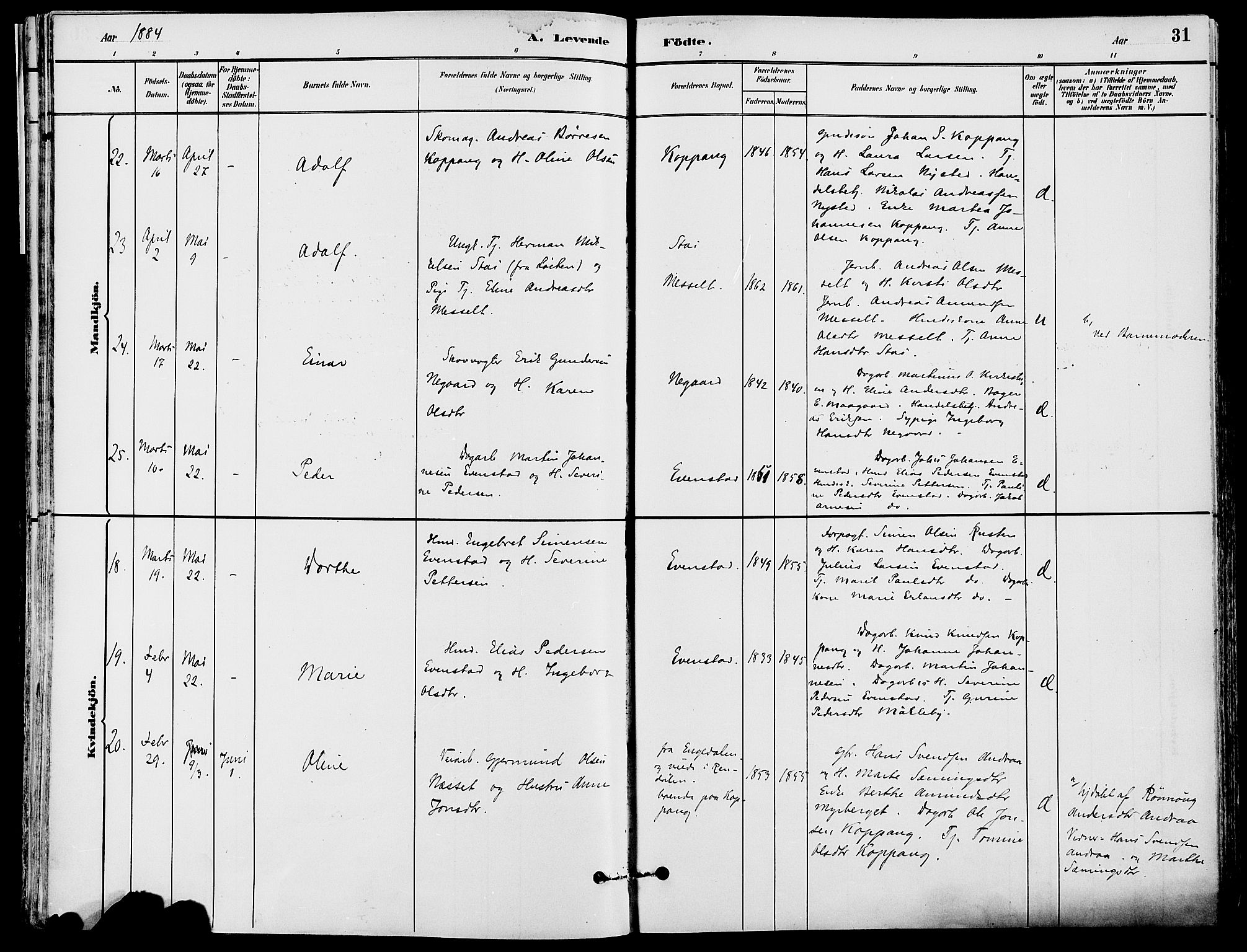 Stor-Elvdal prestekontor, AV/SAH-PREST-052/H/Ha/Haa/L0002: Parish register (official) no. 2, 1882-1907, p. 31