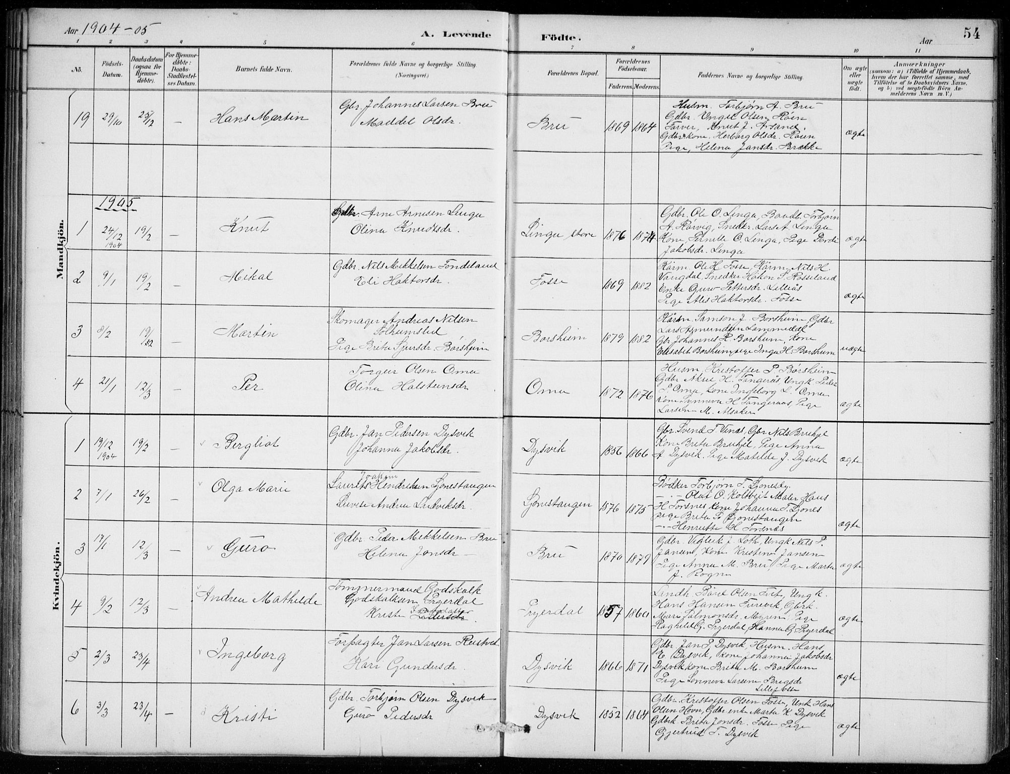 Strandebarm sokneprestembete, AV/SAB-A-78401/H/Hab: Parish register (copy) no. B  1, 1891-1914, p. 54