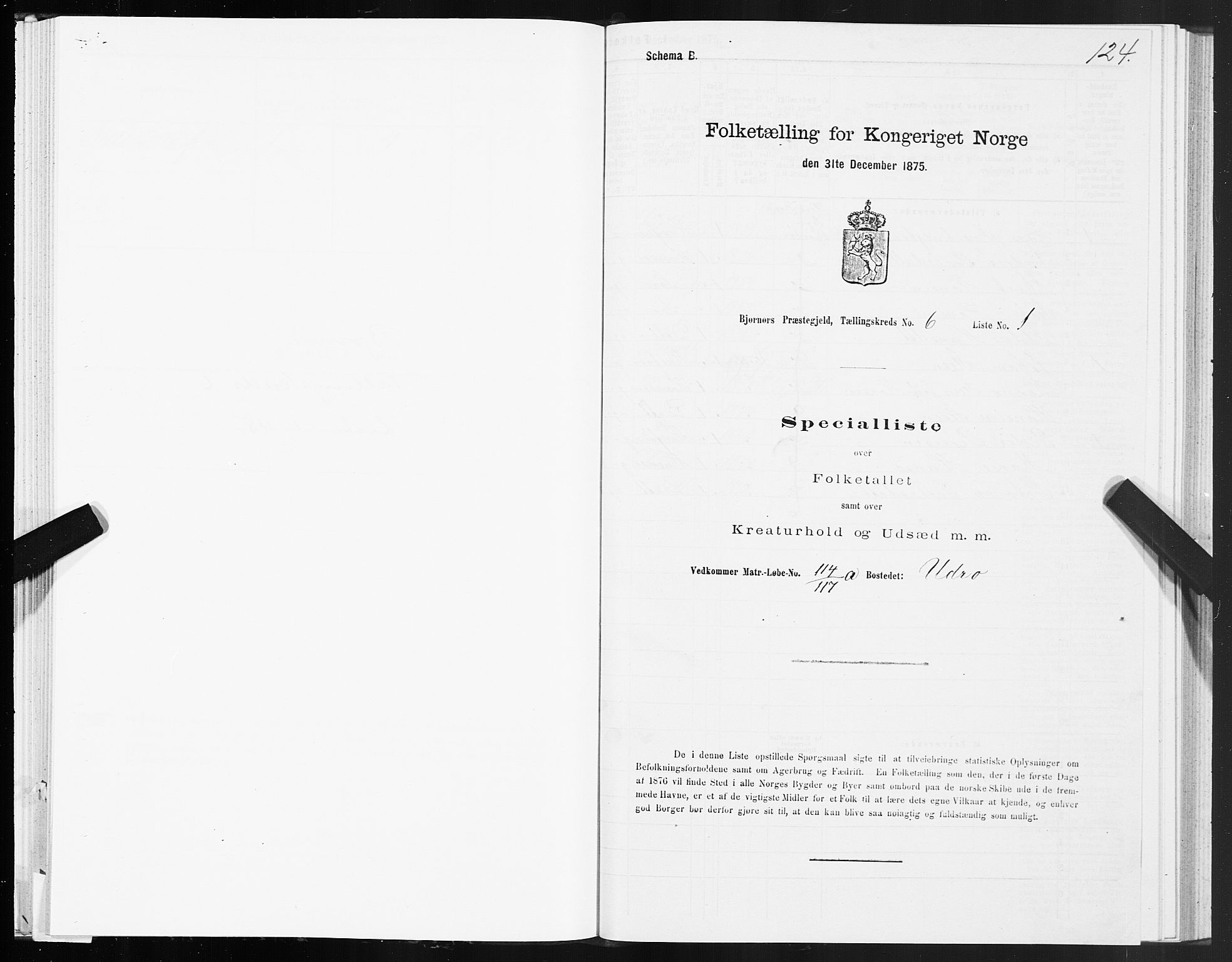 SAT, 1875 census for 1632P Bjørnør, 1875, p. 3124