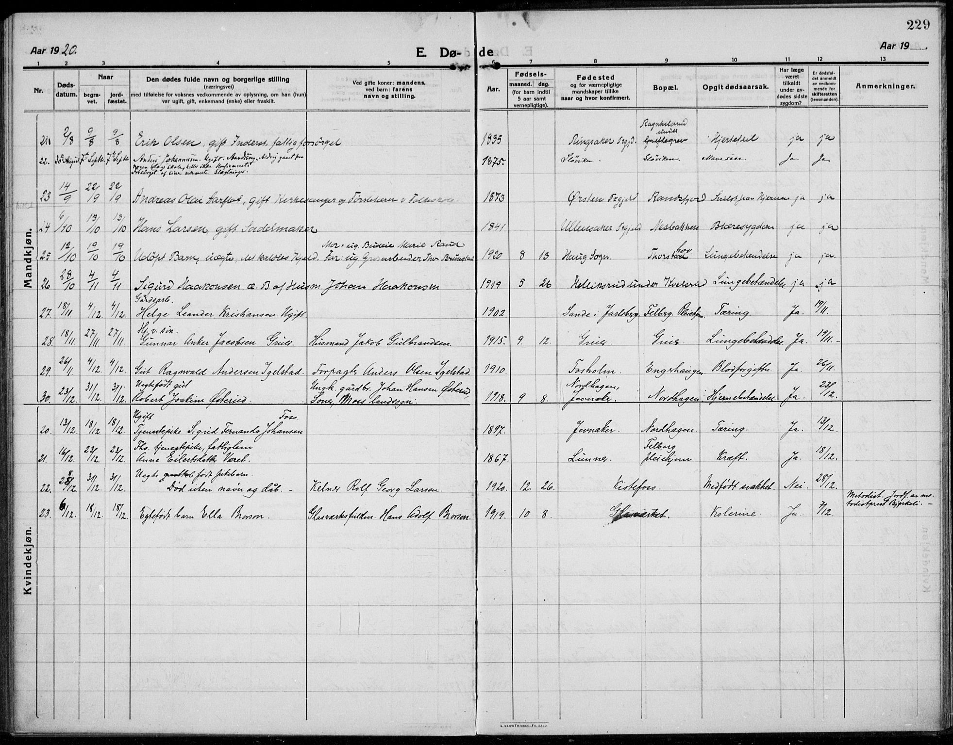 Jevnaker prestekontor, SAH/PREST-116/H/Ha/Haa/L0012: Parish register (official) no. 12, 1914-1924, p. 229