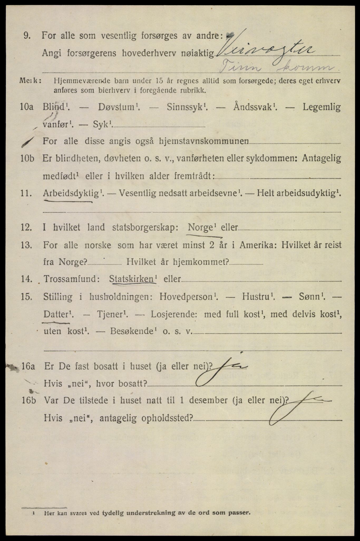 SAKO, 1920 census for Tinn, 1920, p. 6265