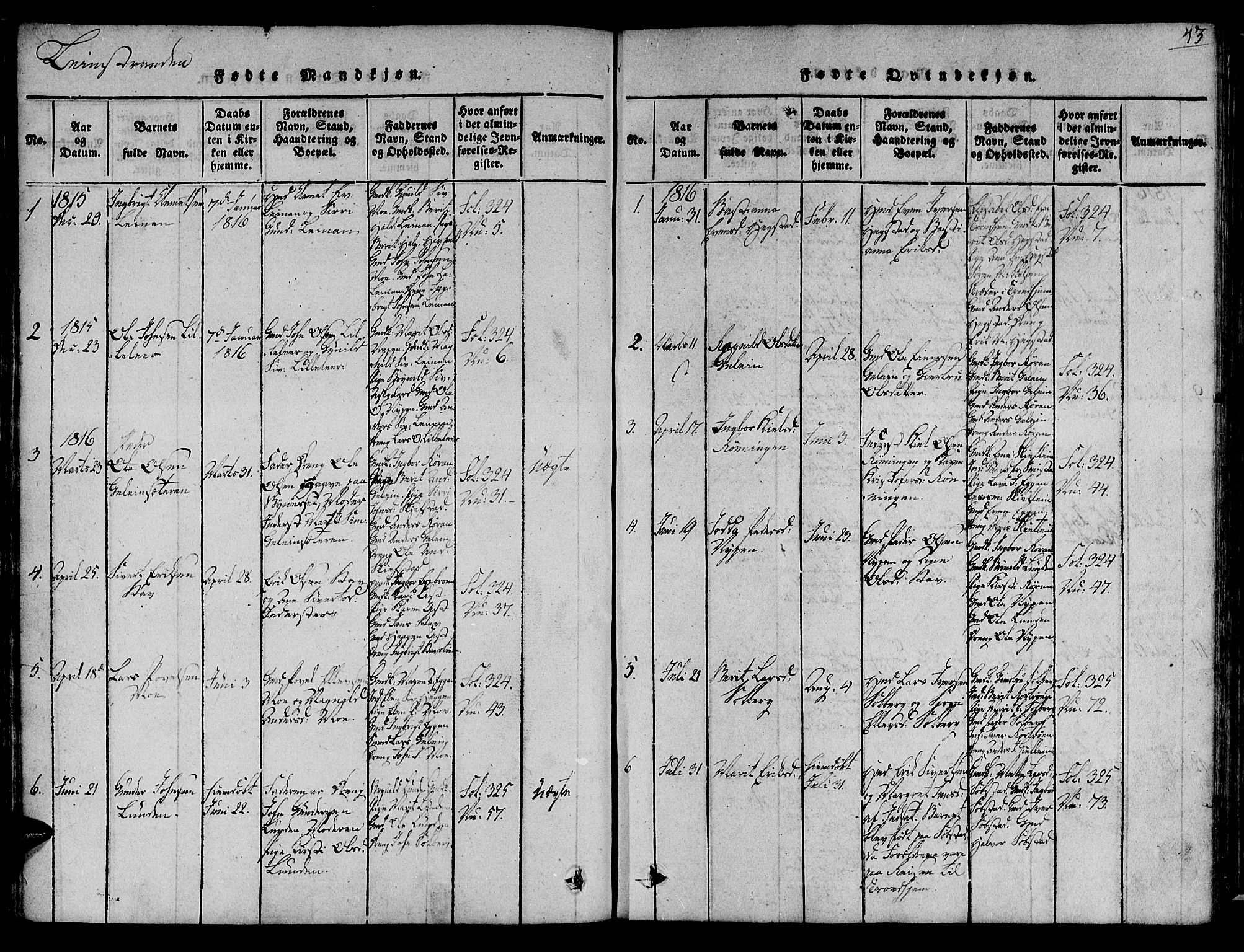 Ministerialprotokoller, klokkerbøker og fødselsregistre - Sør-Trøndelag, SAT/A-1456/691/L1067: Parish register (official) no. 691A03 /3, 1816-1826, p. 43