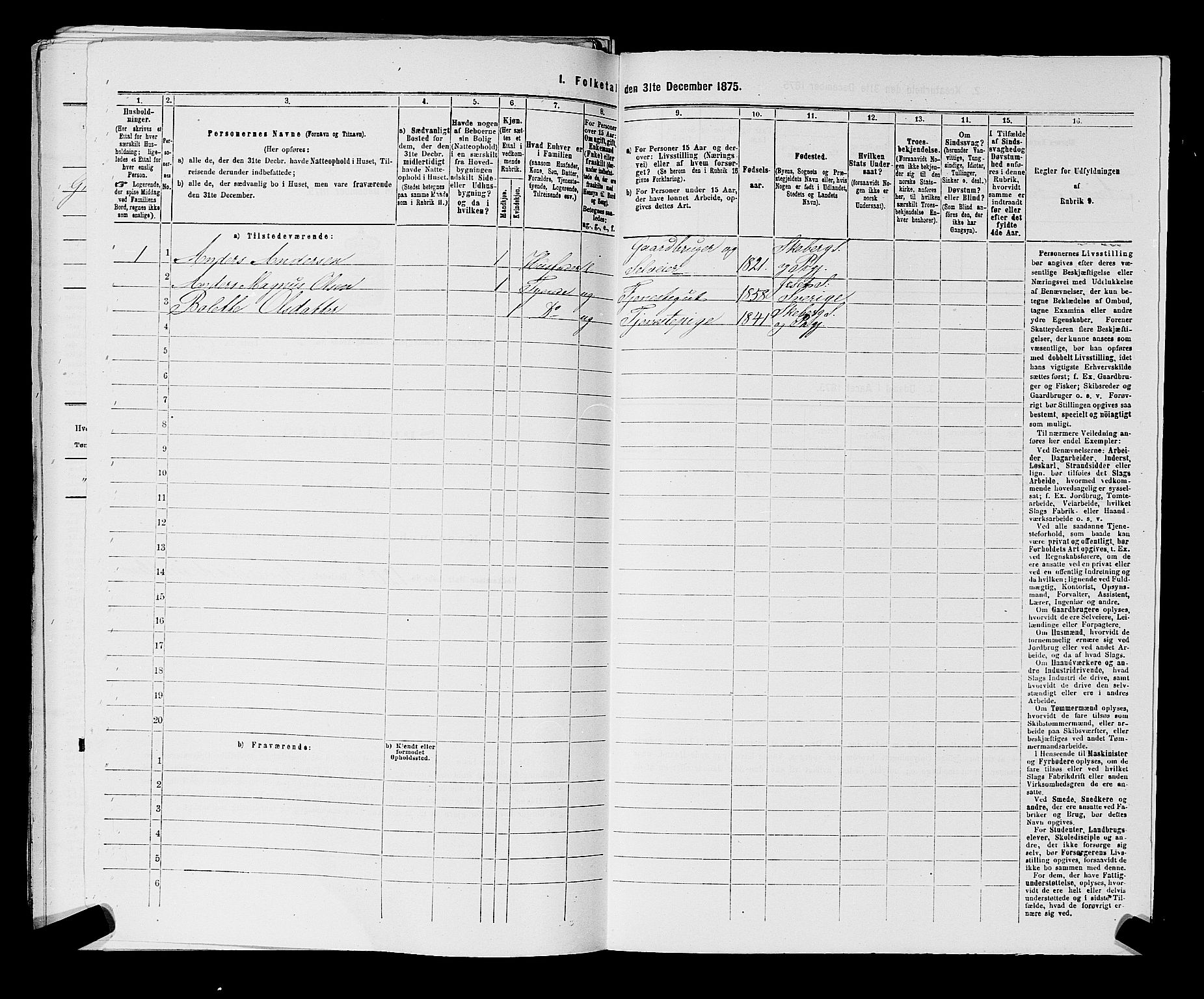 RA, 1875 census for 0115P Skjeberg, 1875, p. 1005