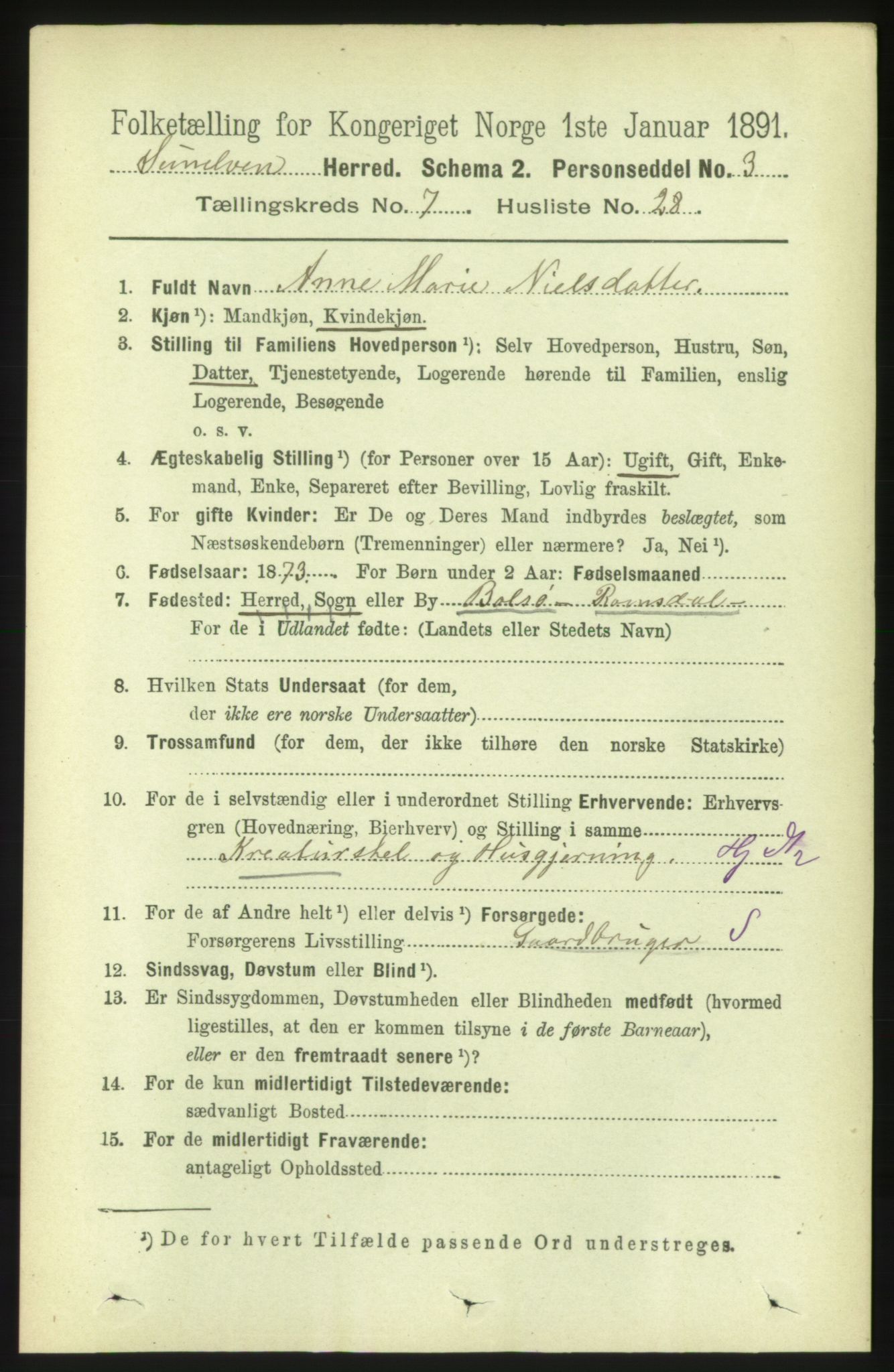 RA, 1891 census for 1523 Sunnylven, 1891, p. 1991