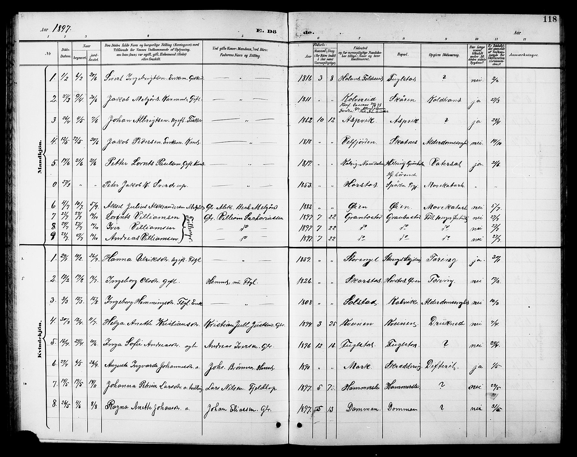 Ministerialprotokoller, klokkerbøker og fødselsregistre - Nordland, AV/SAT-A-1459/810/L0161: Parish register (copy) no. 810C04, 1897-1910, p. 118