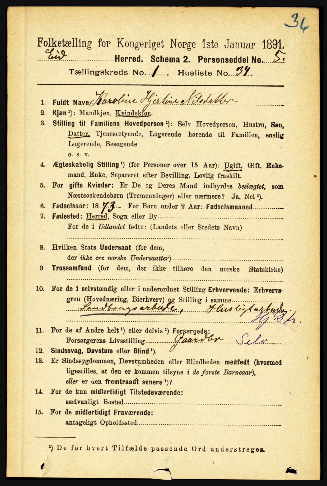 RA, 1891 census for 1443 Eid, 1891, p. 272