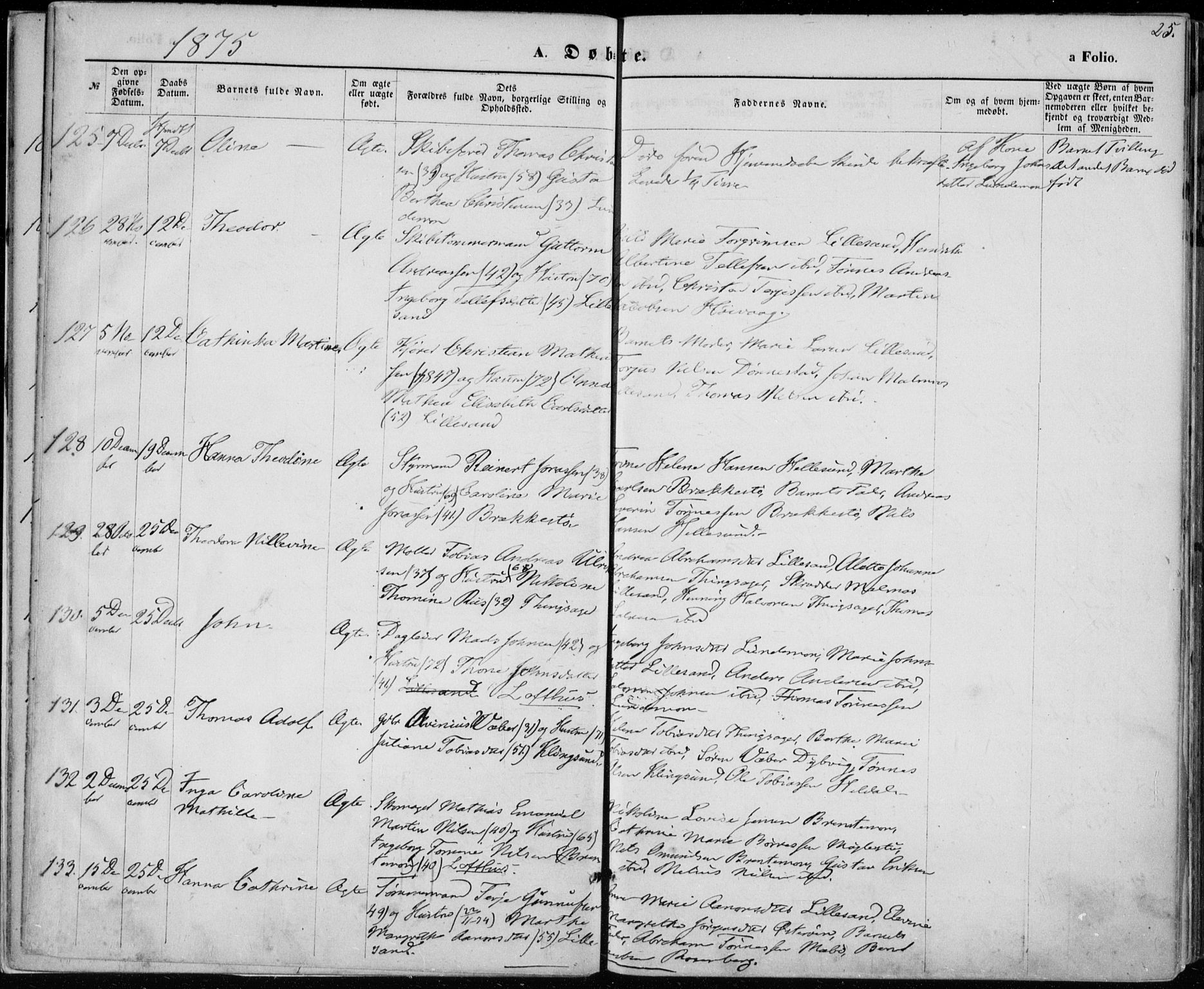 Vestre Moland sokneprestkontor, AV/SAK-1111-0046/F/Fa/Fab/L0008: Parish register (official) no. A 8, 1873-1883, p. 25