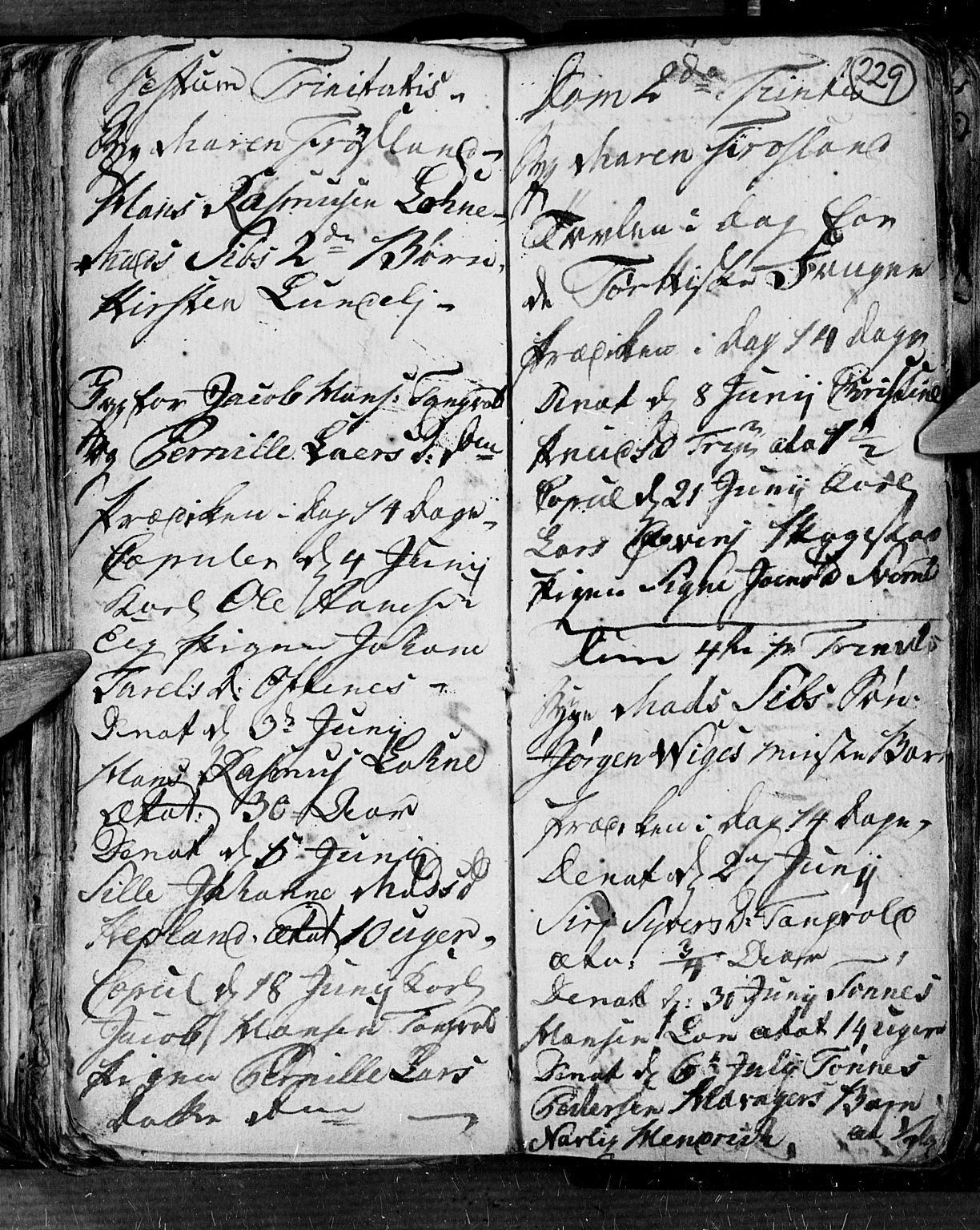 Søgne sokneprestkontor, AV/SAK-1111-0037/F/Fb/Fbb/L0001: Parish register (copy) no. B 1, 1779-1802, p. 229