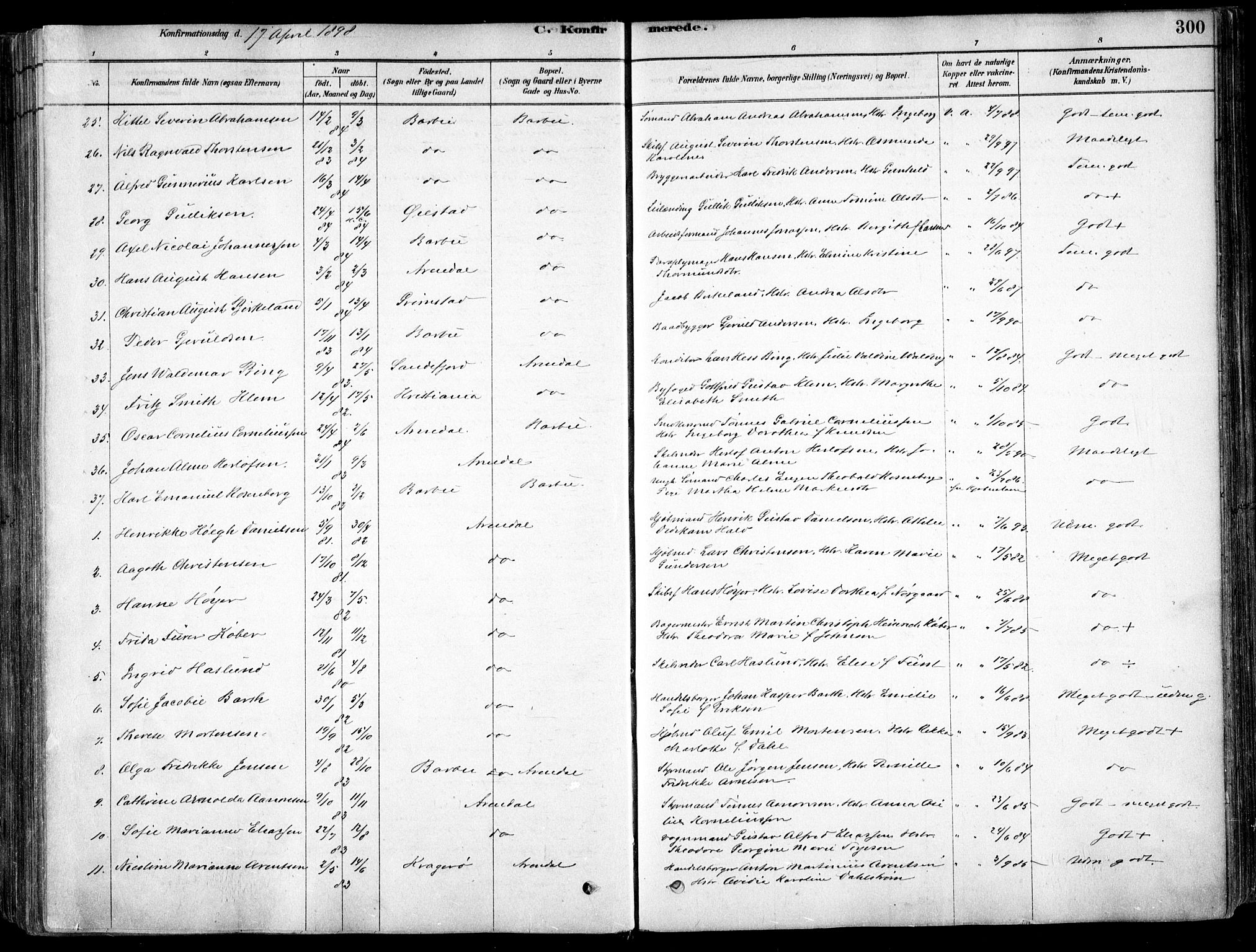 Arendal sokneprestkontor, Trefoldighet, AV/SAK-1111-0040/F/Fa/L0008: Parish register (official) no. A 8, 1878-1899, p. 300