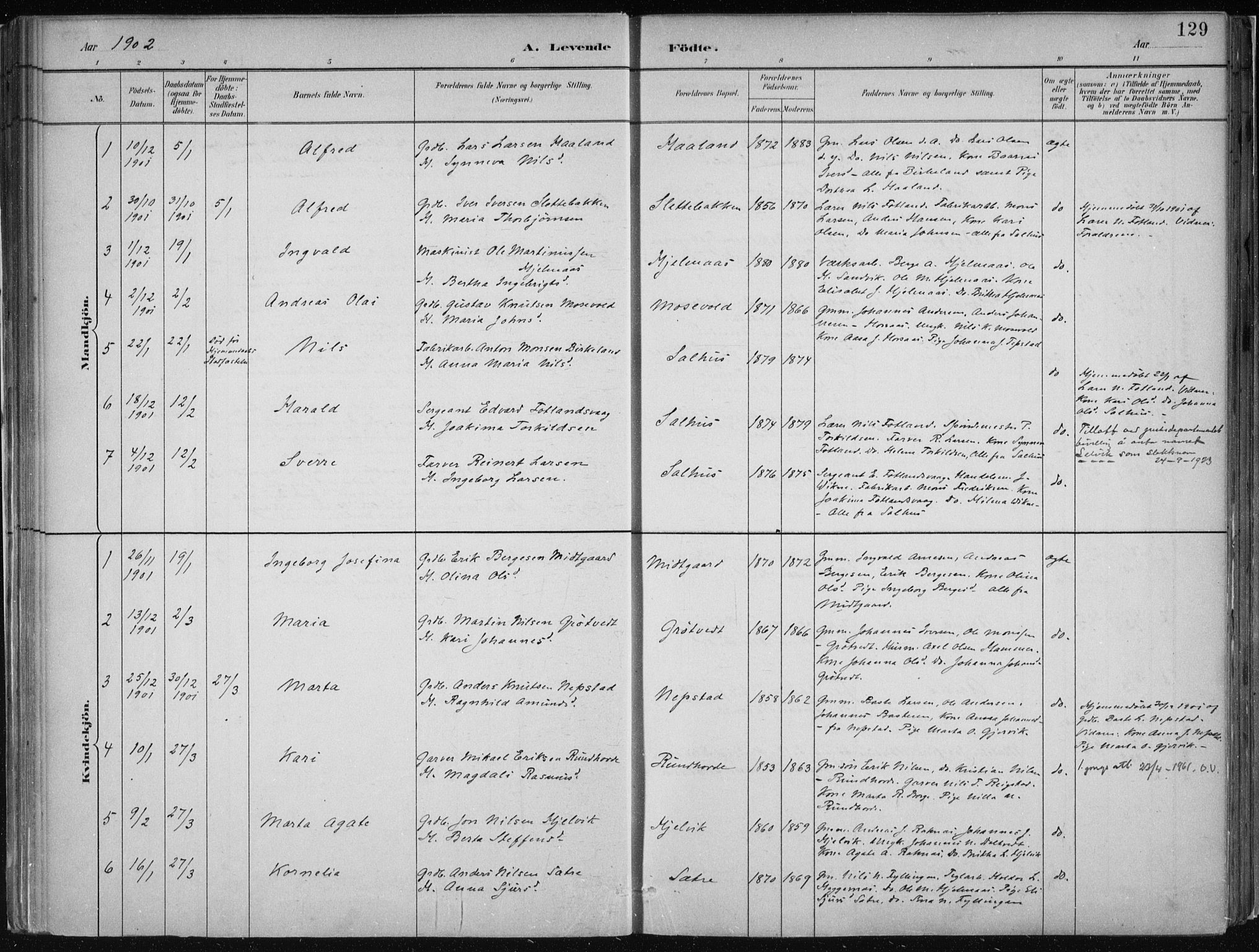 Hamre sokneprestembete, SAB/A-75501/H/Ha/Haa/Haab/L0001: Parish register (official) no. B  1, 1882-1905, p. 129