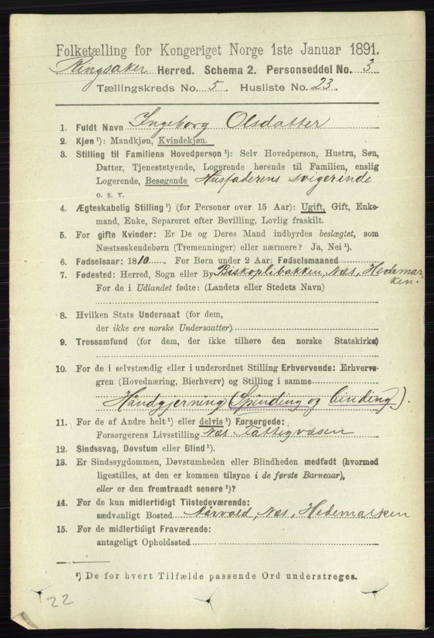 RA, 1891 census for 0412 Ringsaker, 1891, p. 2534