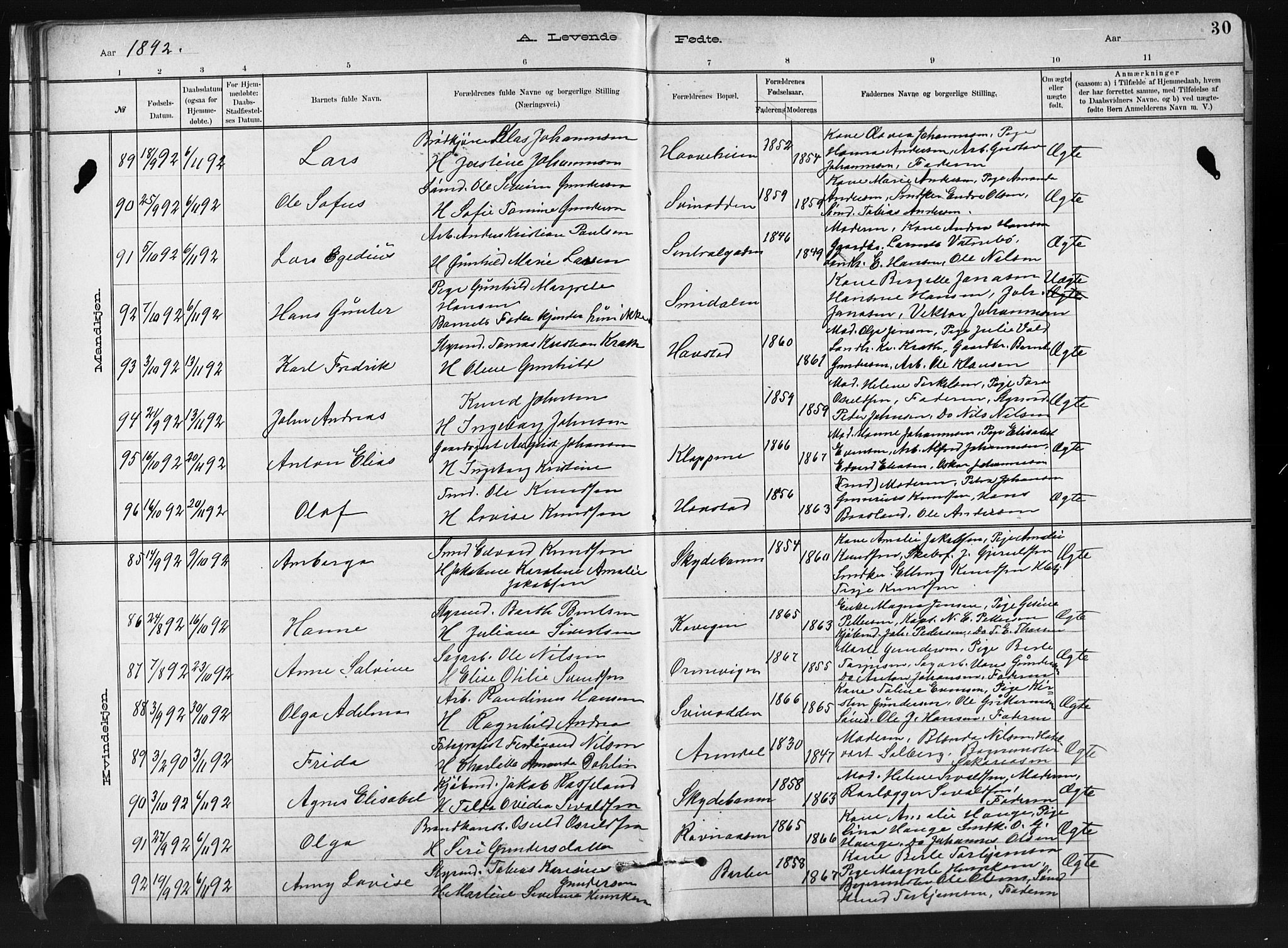 Barbu sokneprestkontor, AV/SAK-1111-0003/F/Fb/L0002: Parish register (copy) no. B 2, 1890-1922, p. 30