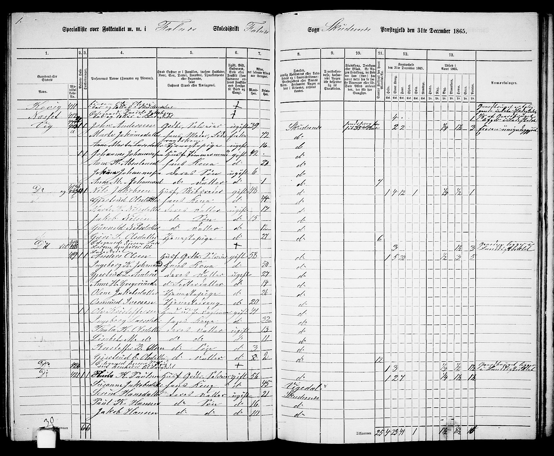 RA, 1865 census for Skudenes, 1865, p. 167