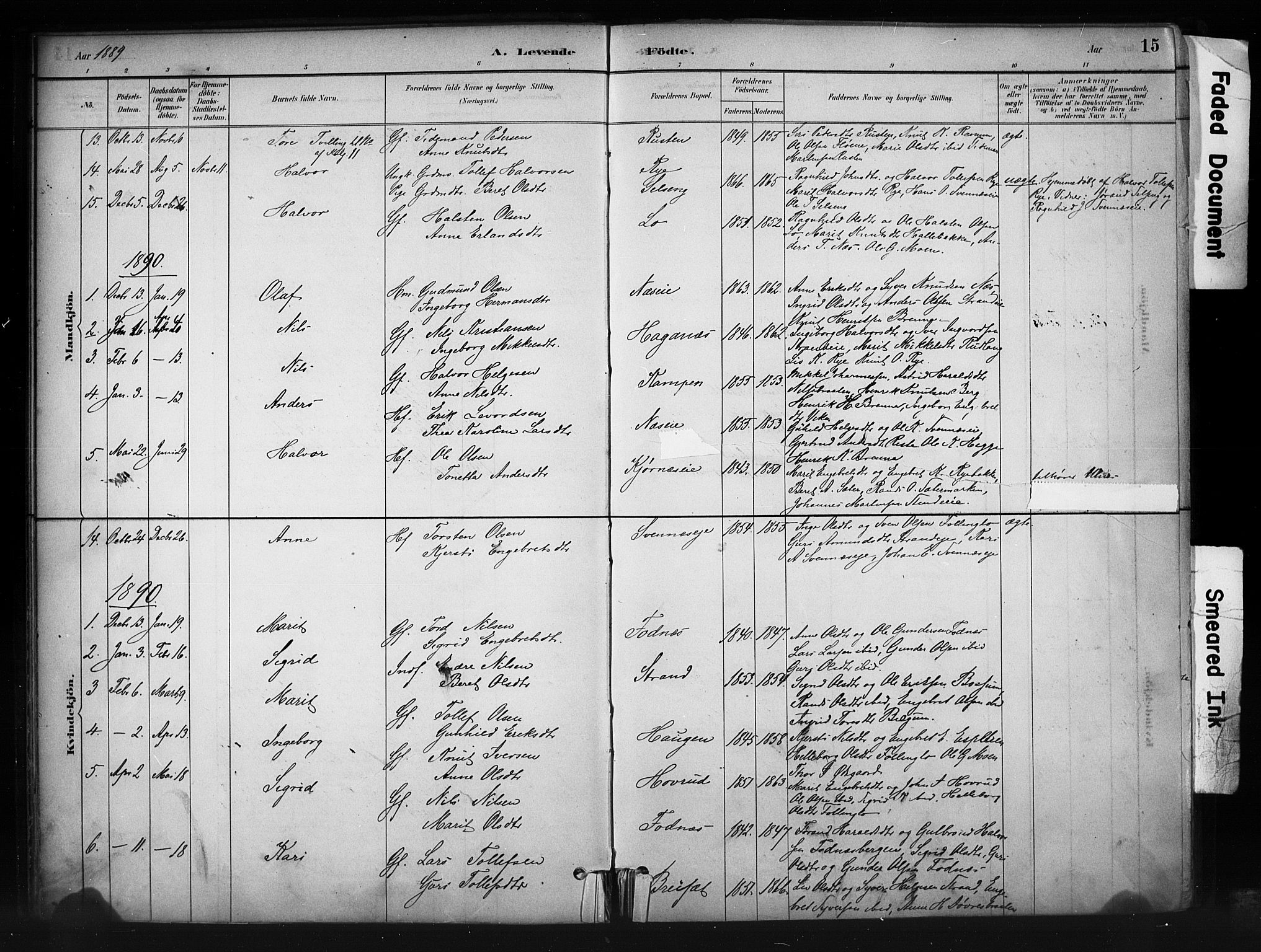 Nord-Aurdal prestekontor, SAH/PREST-132/H/Ha/Haa/L0010: Parish register (official) no. 10, 1883-1896, p. 15