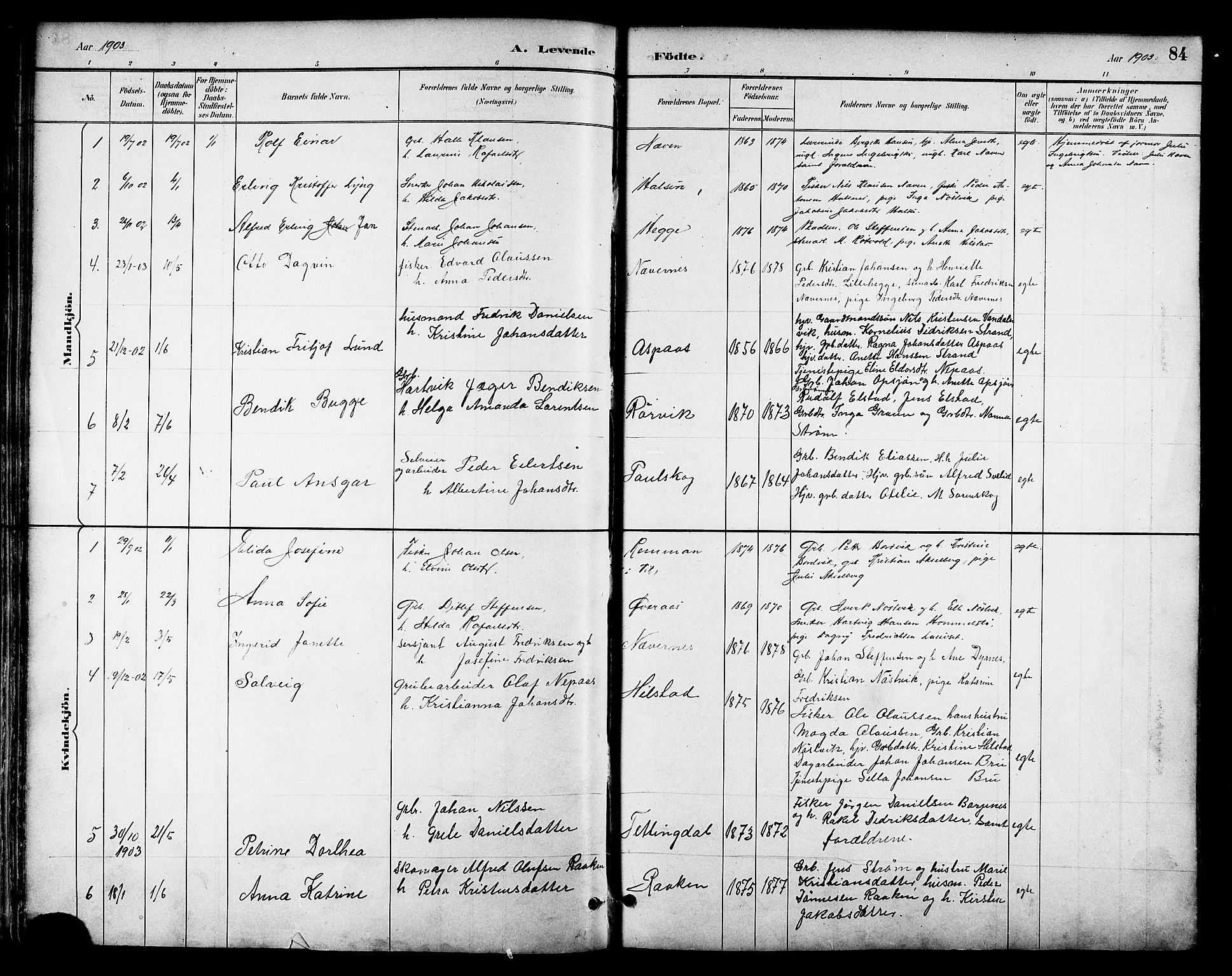 Ministerialprotokoller, klokkerbøker og fødselsregistre - Nordland, SAT/A-1459/814/L0230: Parish register (copy) no. 814C03, 1884-1911, p. 84