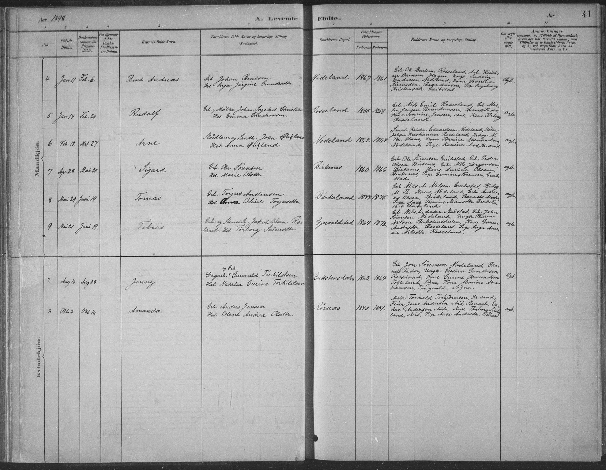 Søgne sokneprestkontor, AV/SAK-1111-0037/F/Fa/Faa/L0003: Parish register (official) no. A 3, 1883-1910, p. 41