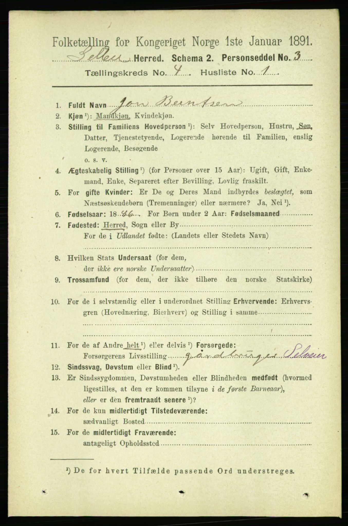 RA, 1891 census for 1664 Selbu, 1891, p. 1065