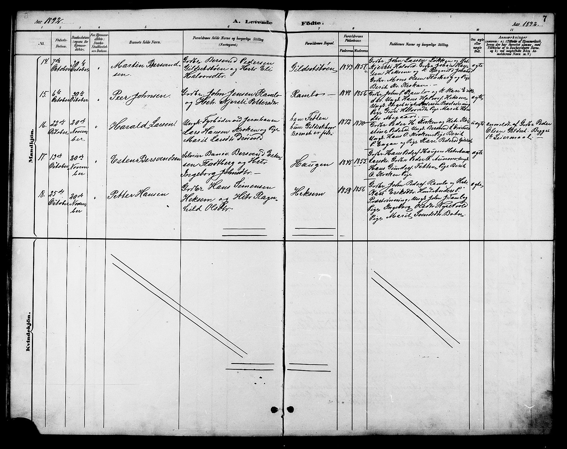 Ministerialprotokoller, klokkerbøker og fødselsregistre - Sør-Trøndelag, SAT/A-1456/685/L0978: Parish register (copy) no. 685C03, 1891-1907, p. 7