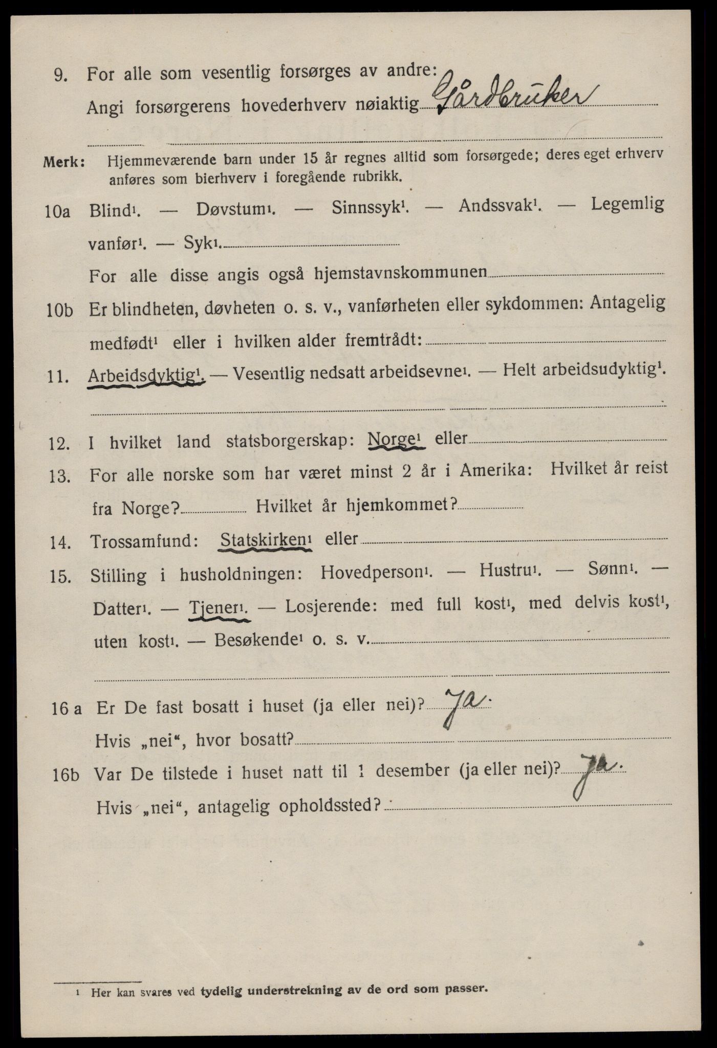 SAKO, 1920 census for Nissedal, 1920, p. 1528