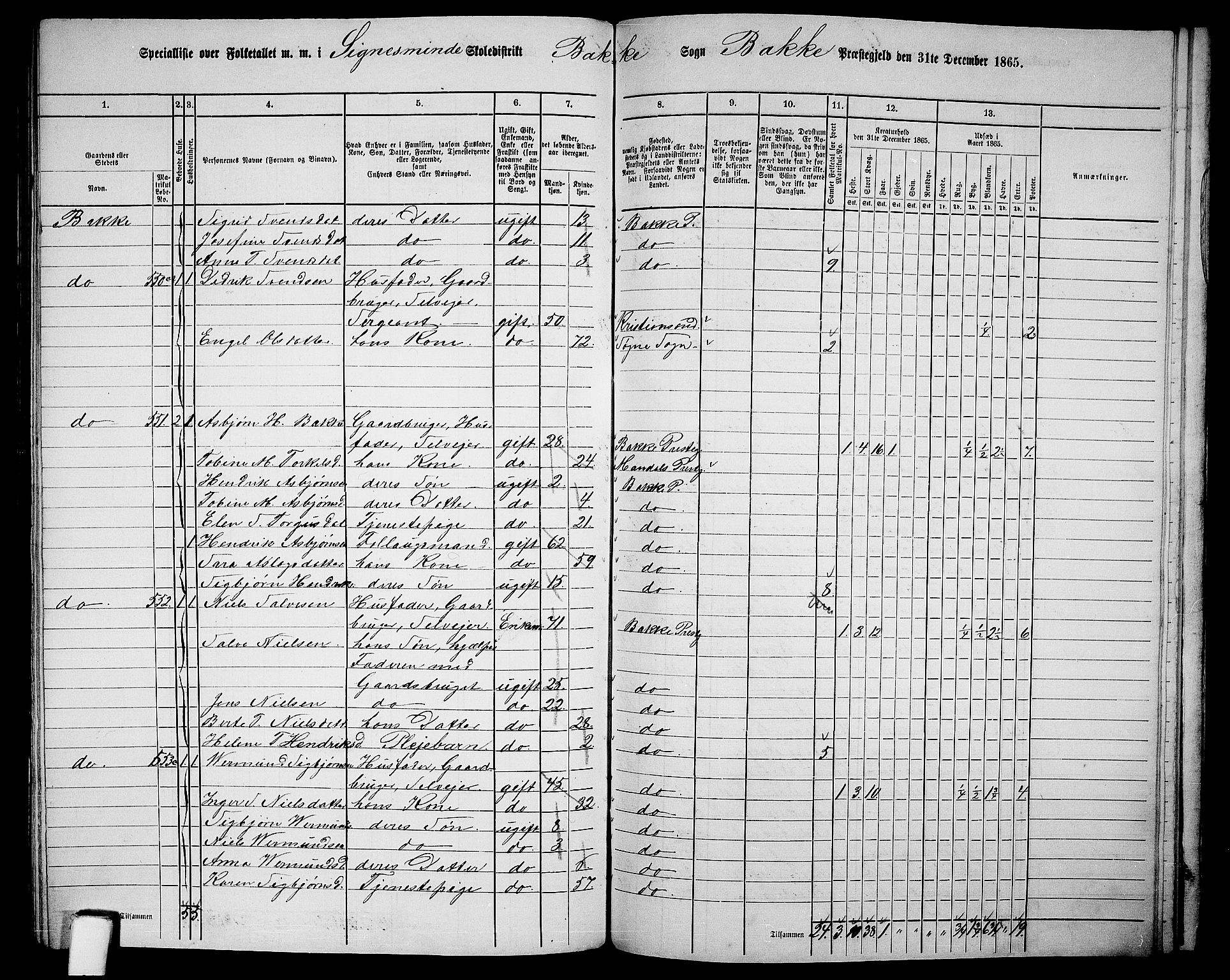 RA, 1865 census for Bakke, 1865, p. 99