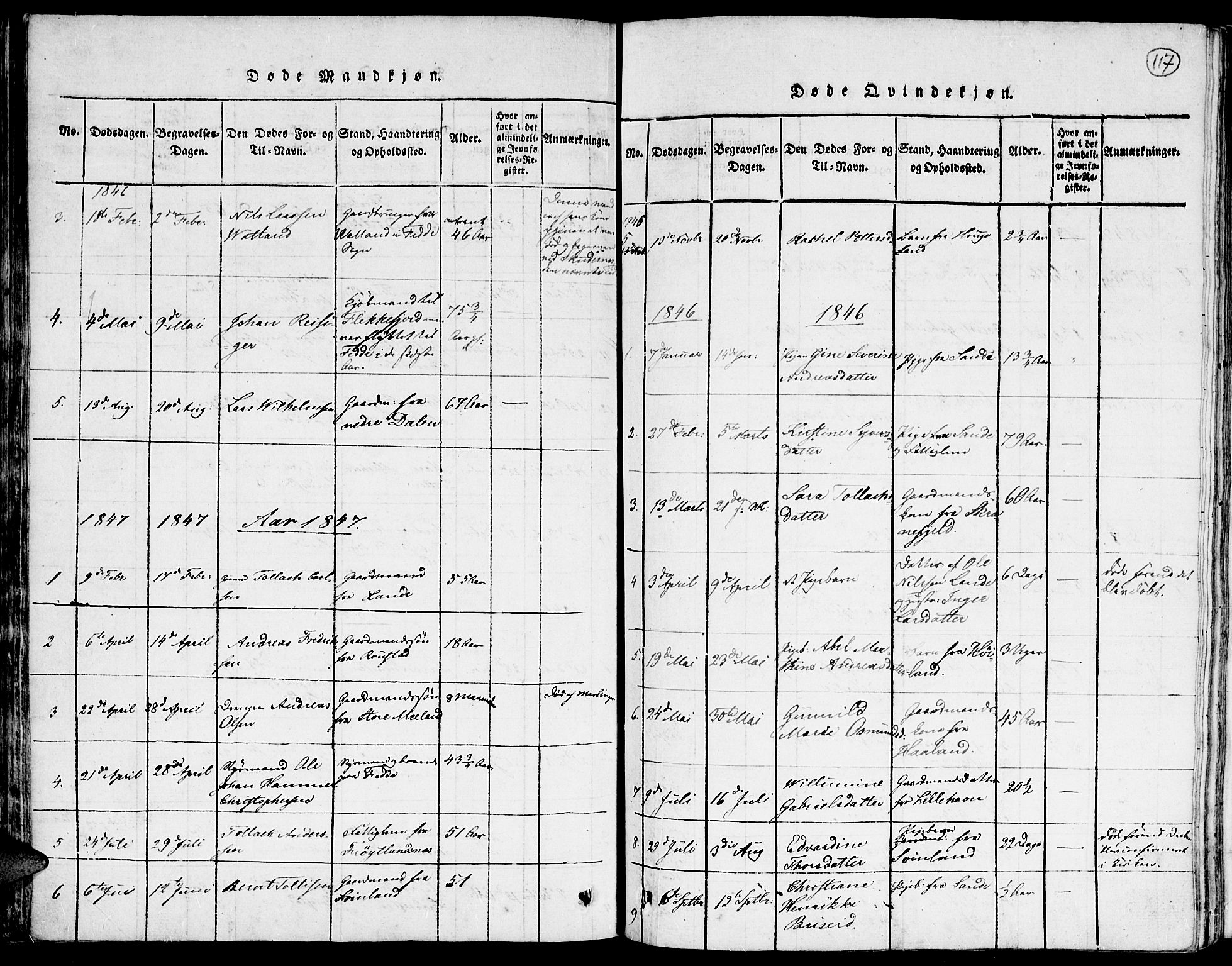 Kvinesdal sokneprestkontor, SAK/1111-0026/F/Fa/Faa/L0001: Parish register (official) no. A 1, 1815-1849, p. 117