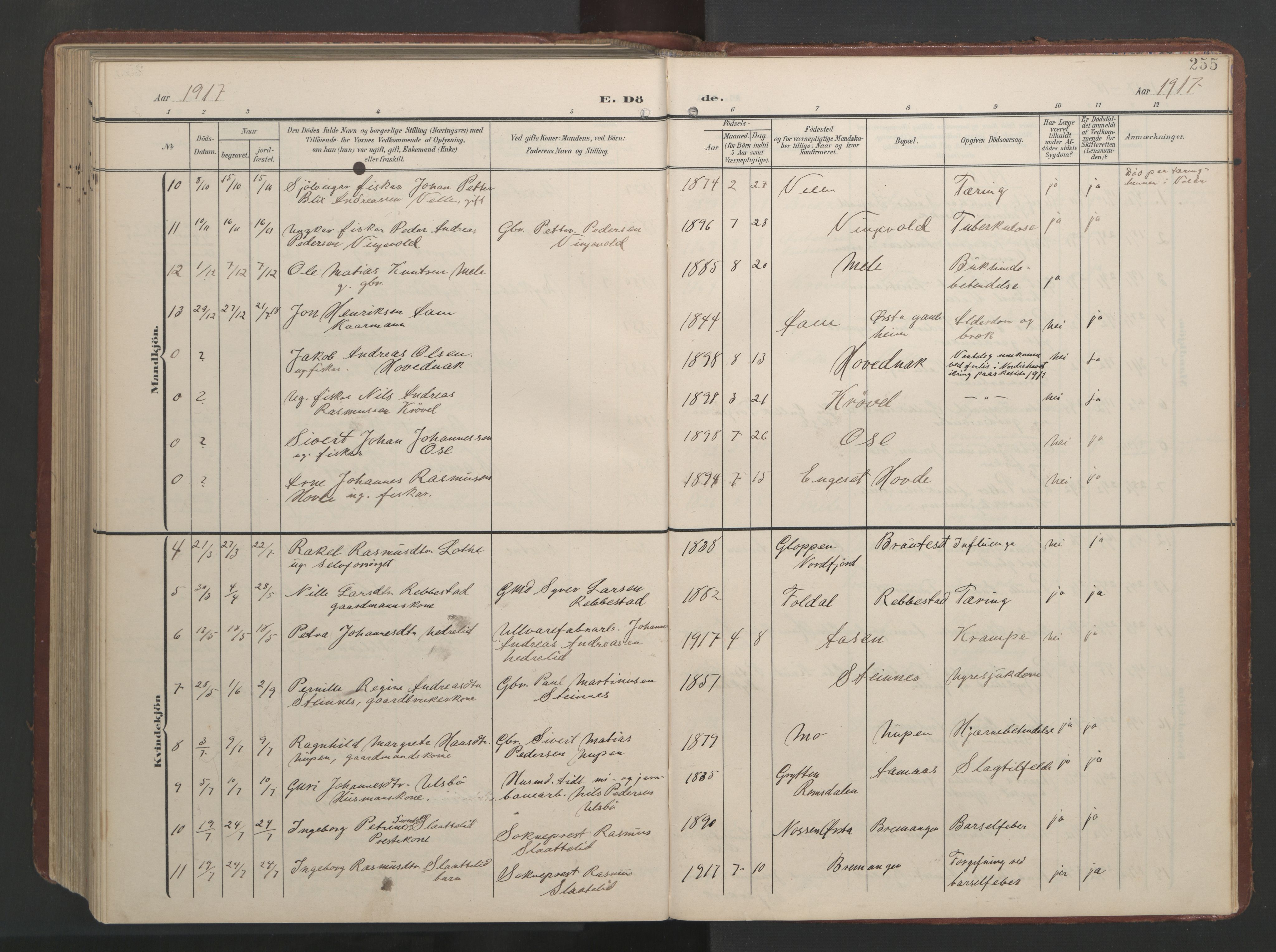 Ministerialprotokoller, klokkerbøker og fødselsregistre - Møre og Romsdal, AV/SAT-A-1454/513/L0190: Parish register (copy) no. 513C04, 1904-1926, p. 255