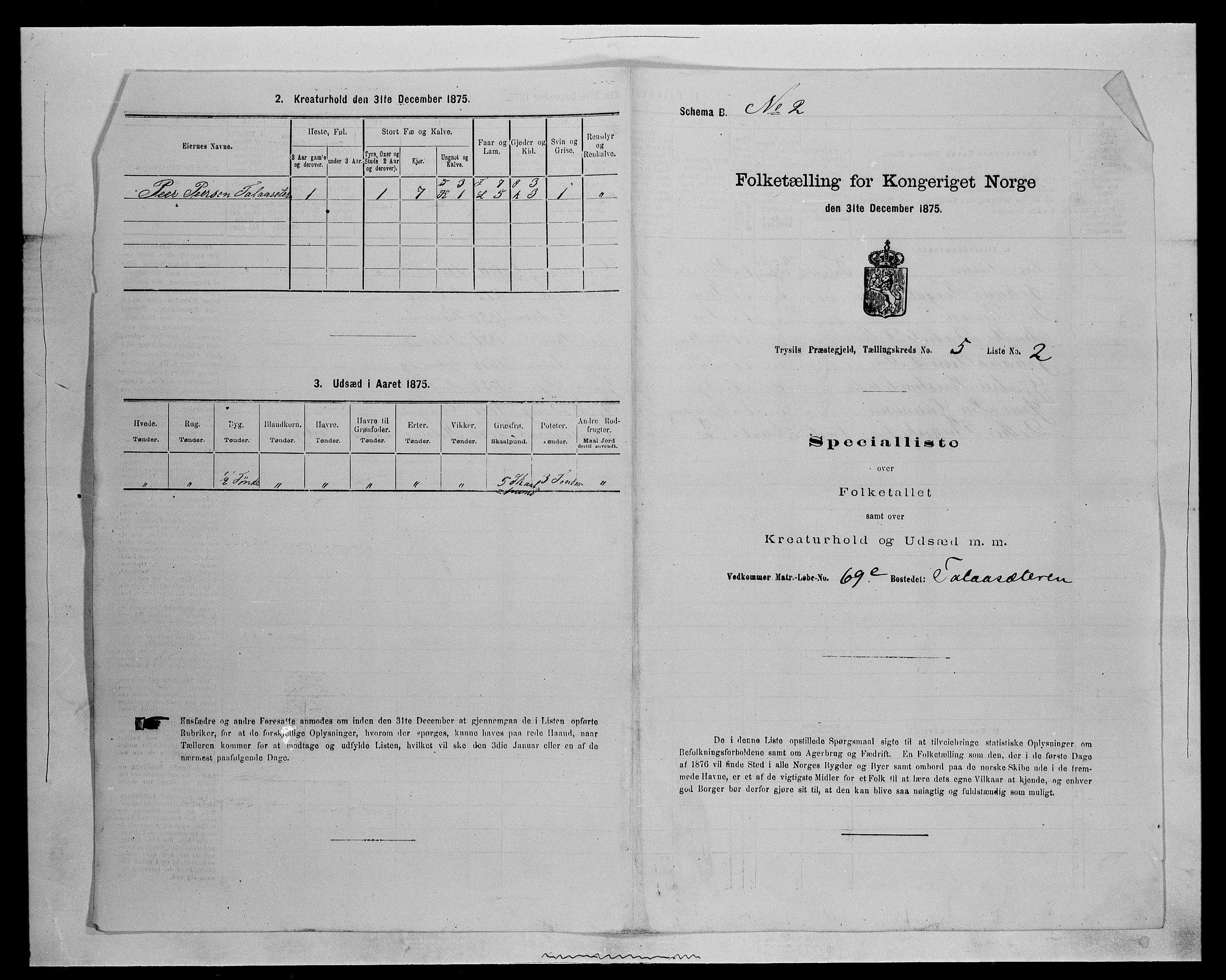 SAH, 1875 census for 0428P Trysil, 1875, p. 676