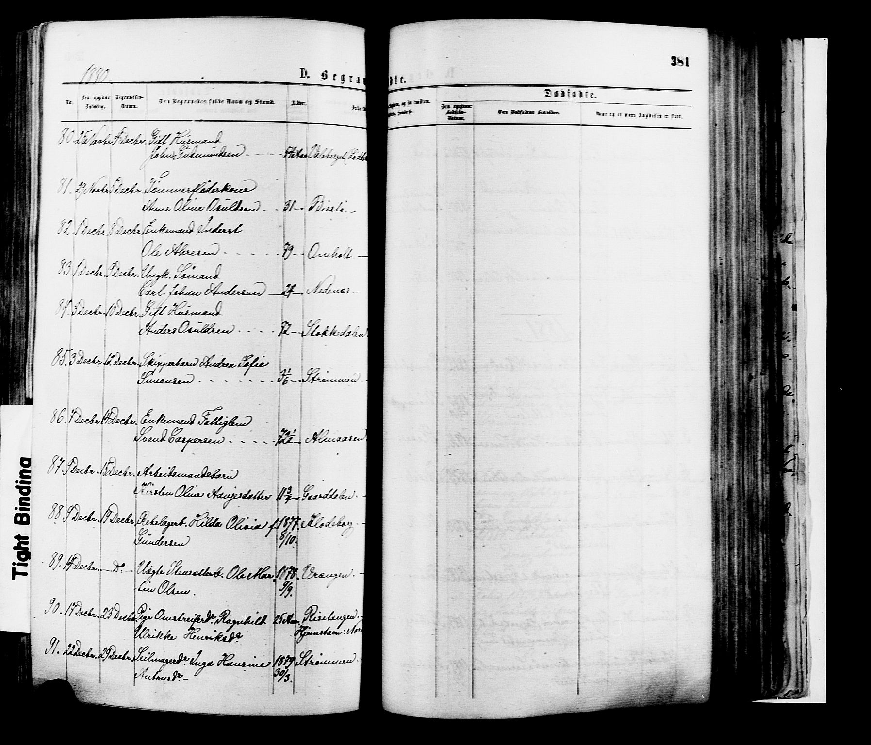 Øyestad sokneprestkontor, AV/SAK-1111-0049/F/Fa/L0016: Parish register (official) no. A 16, 1874-1886, p. 381