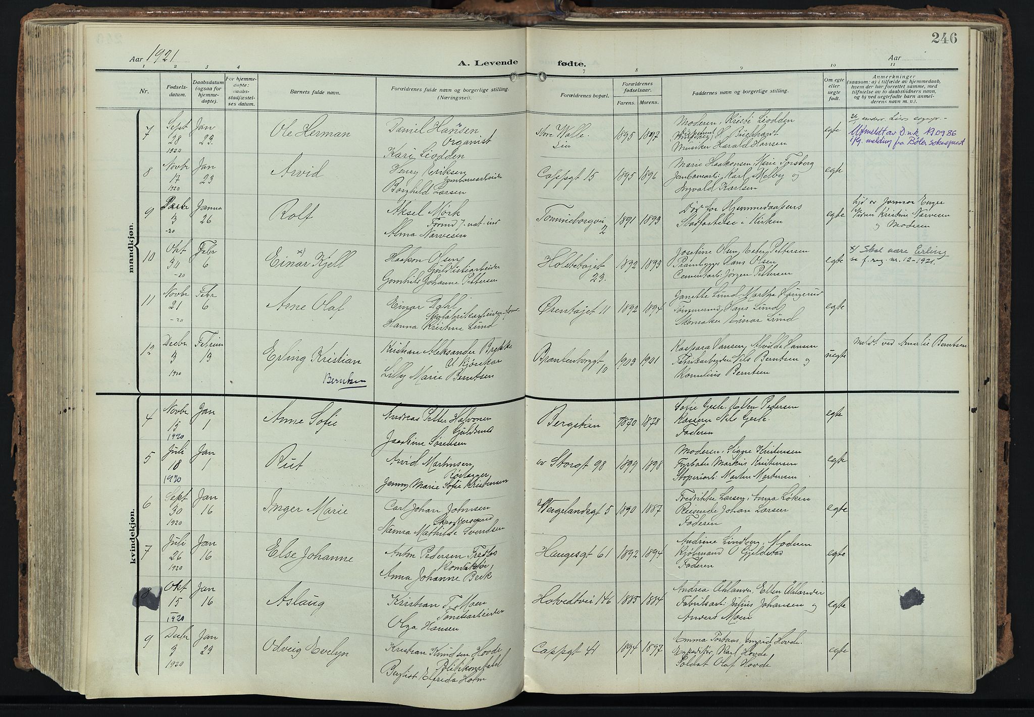 Bragernes kirkebøker, AV/SAKO-A-6/F/Fb/L0010: Parish register (official) no. II 10, 1911-1922, p. 246