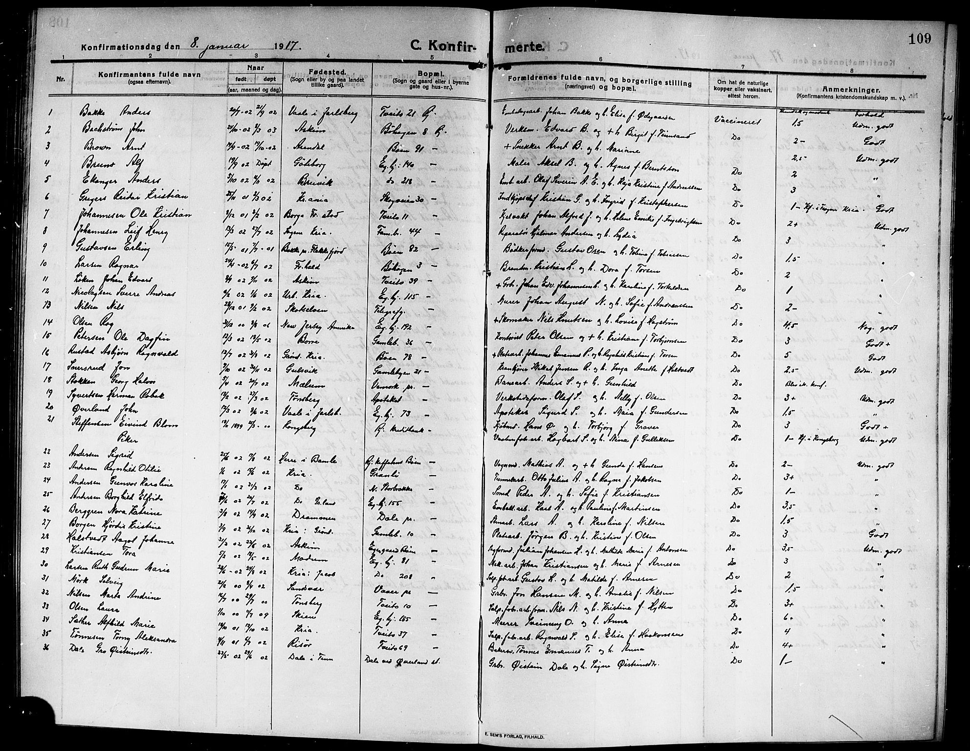 Rjukan kirkebøker, SAKO/A-294/G/Ga/L0002: Parish register (copy) no. 2, 1913-1920, p. 109