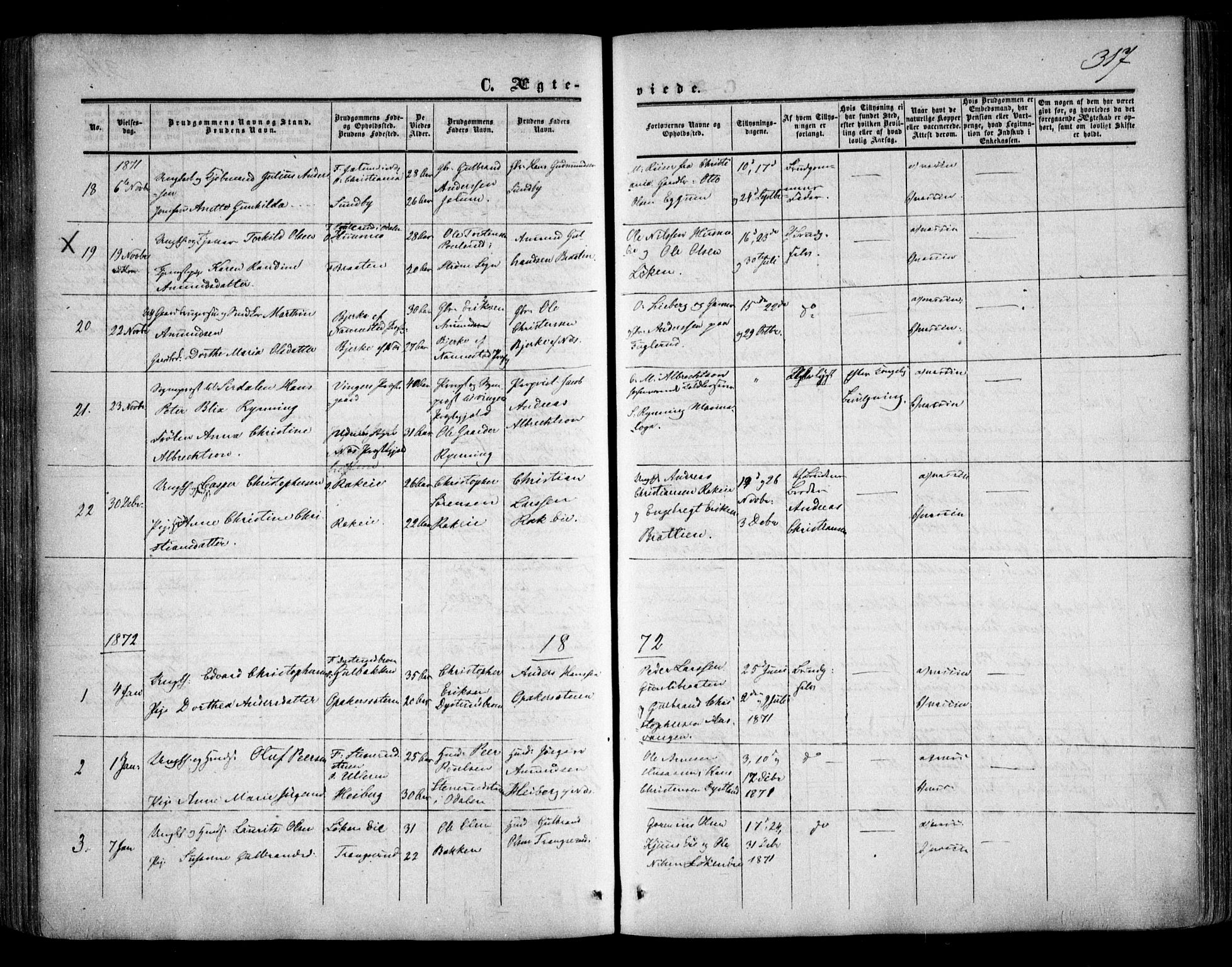 Nes prestekontor Kirkebøker, SAO/A-10410/F/Fa/L0008: Parish register (official) no. I 8, 1859-1874, p. 317